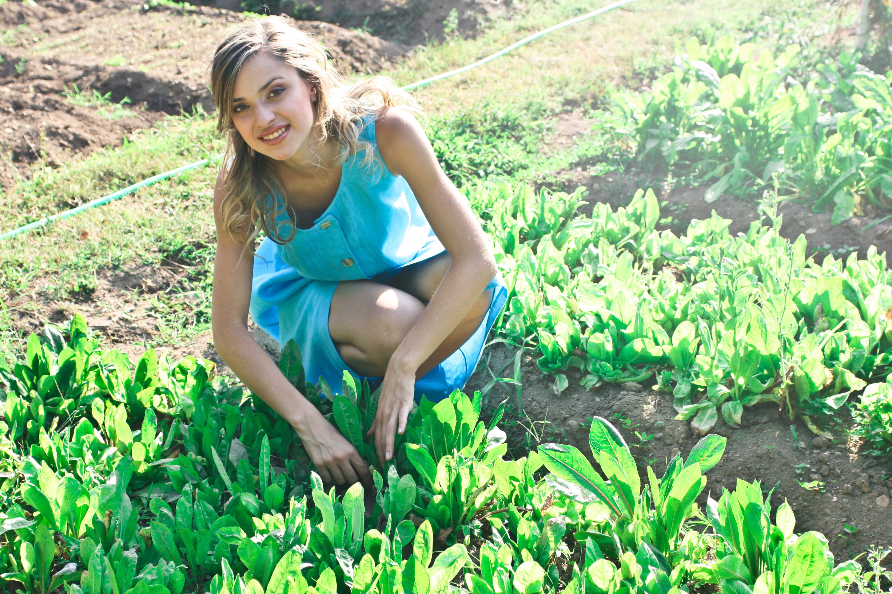 blur, turquoise, dress, blue, land, care, healthy, sitting, woman, growth, one person, plantation, leaning, agriculture, day, smile, simple, relaxed, lifestyles, HD Wallpaper