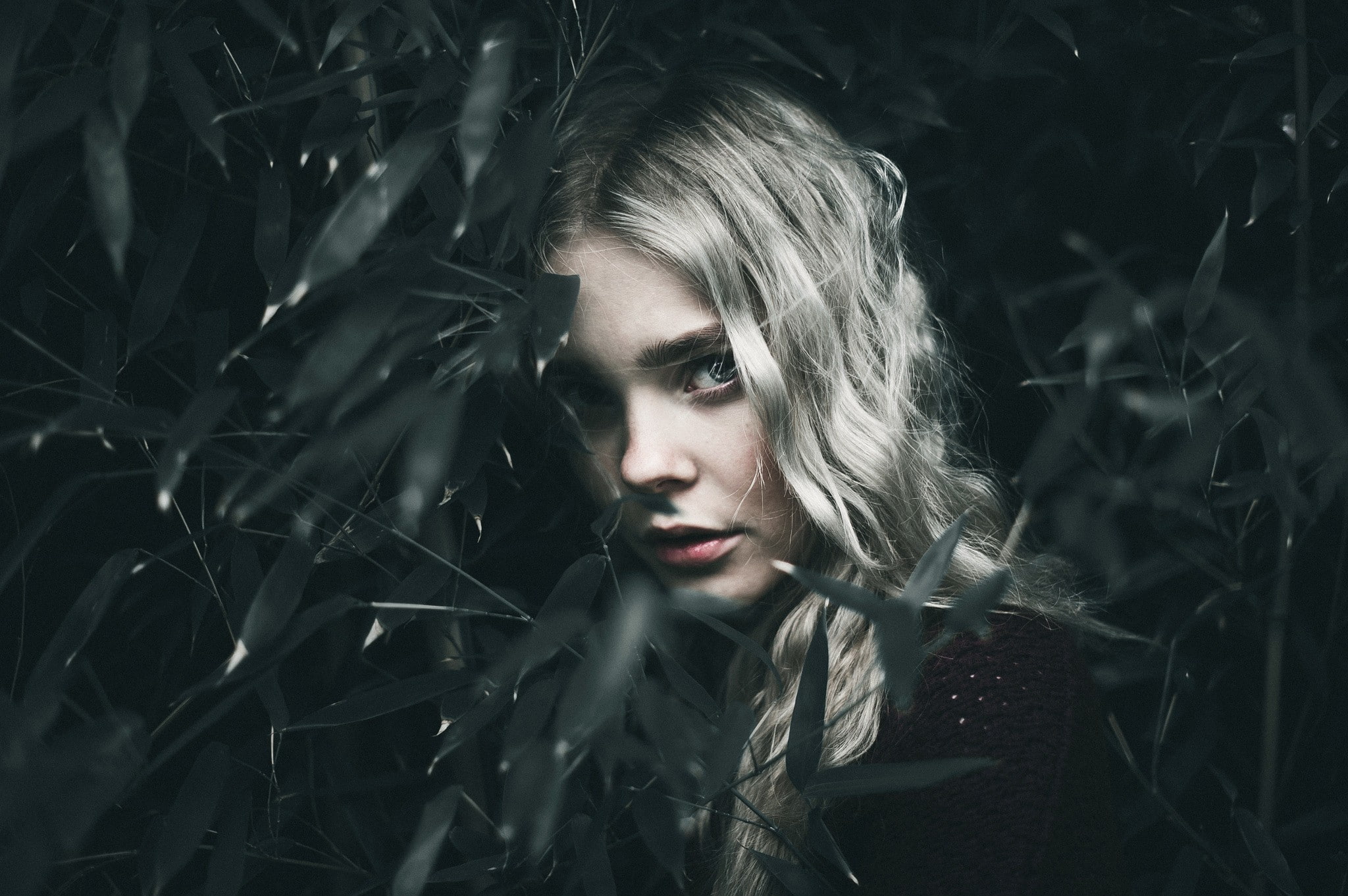 plants, Elle Fanning, 1080P, model, portrait, face, blonde, women, HD Wallpaper