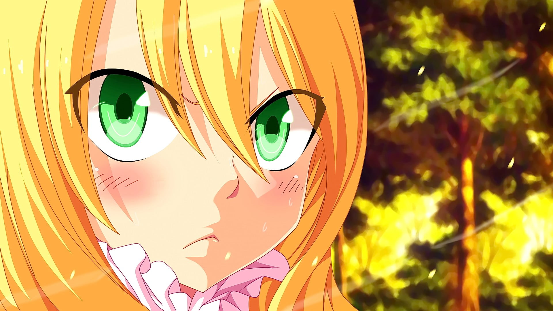 representation, sunlight, day, blonde, art and craft, green eyes, still life, plant part, focus on foreground, no people, leaf, multi colored, anime, forest, HD Wallpaper