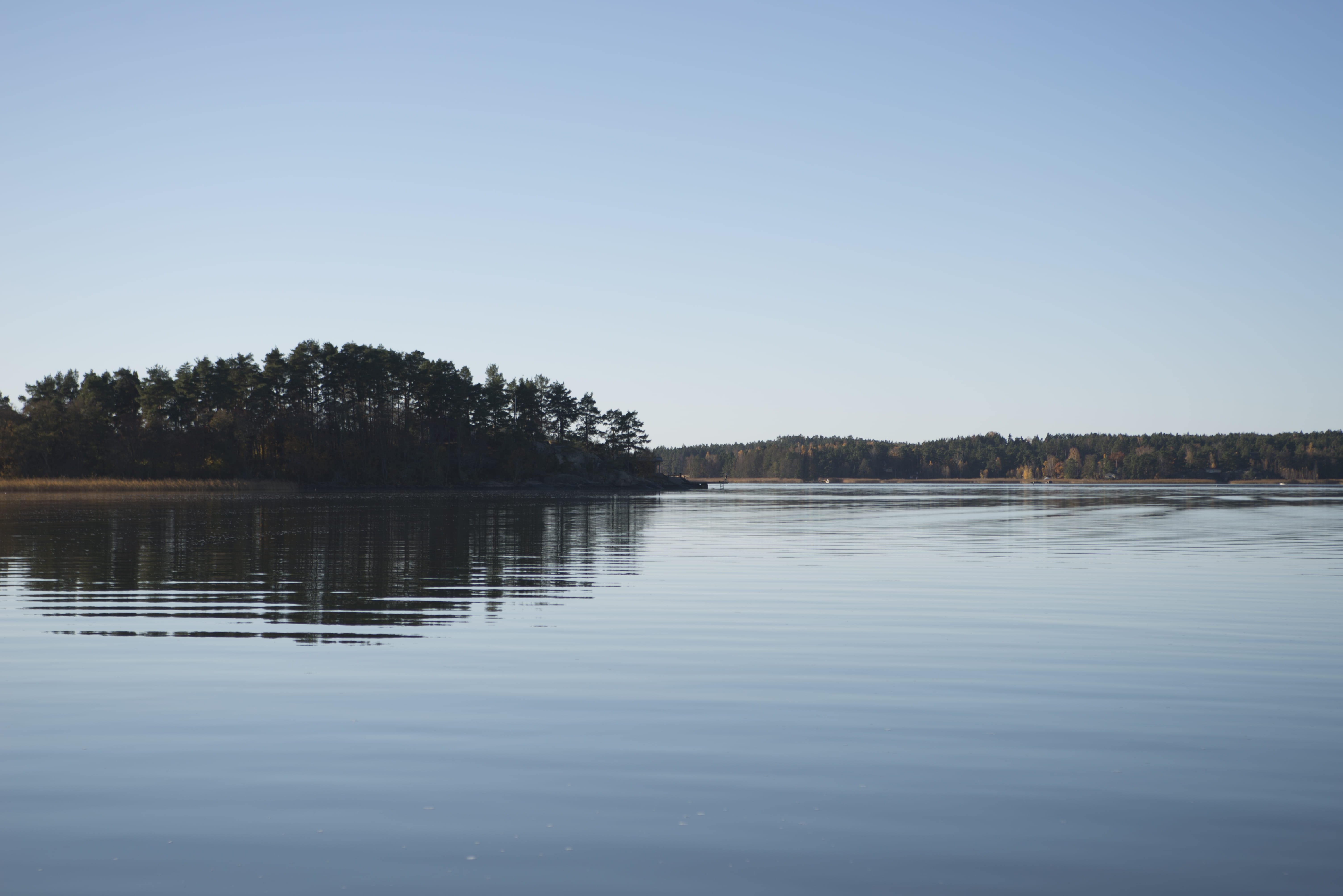 reflection, tree, non-urban scene, sky, 5K, finland, no people, blue, sea, waterfront, plant, tranquility, beauty in nature, lake, day, outdoors, syksy, HD Wallpaper
