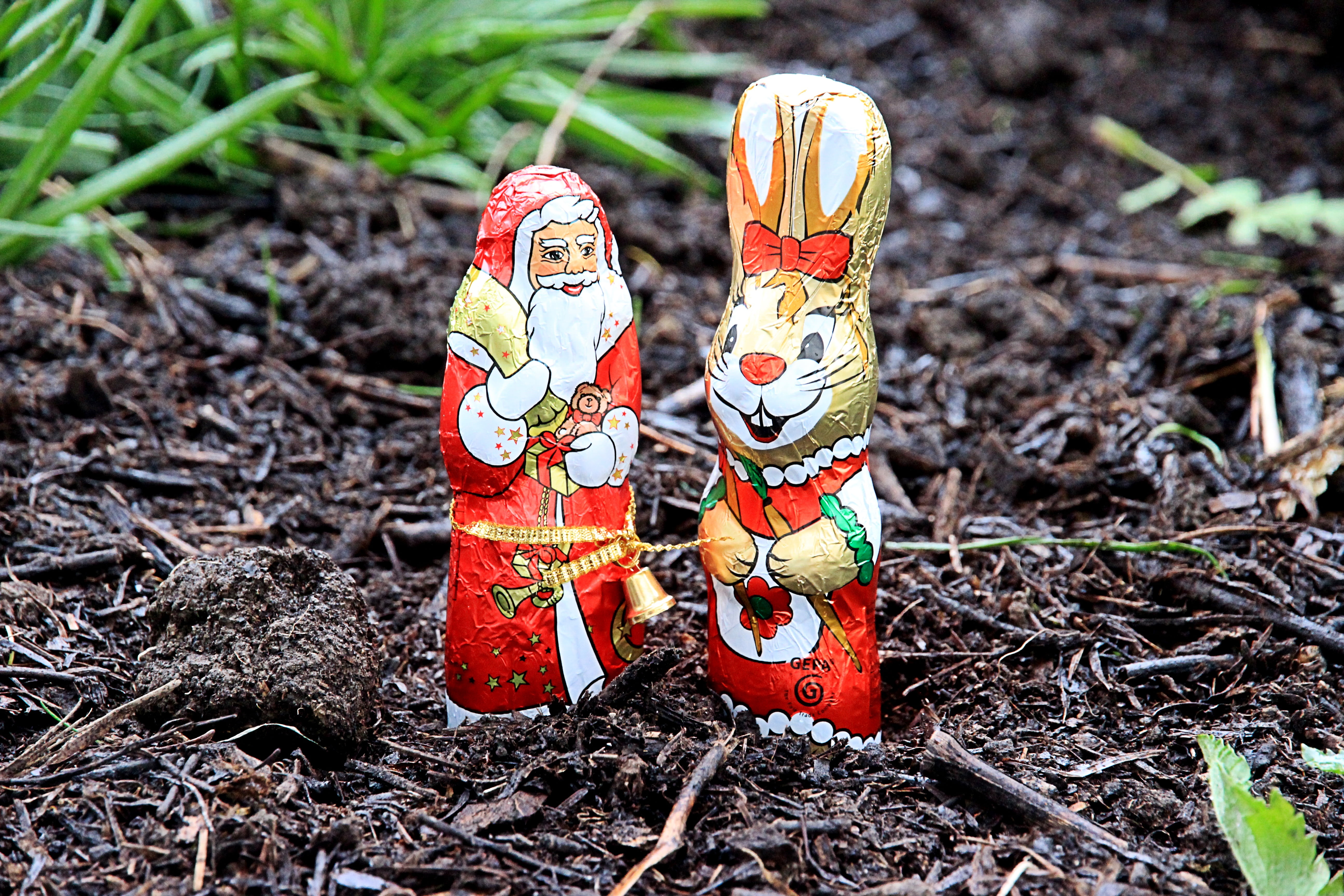 high angle view, figure, figurine, santa claus, cocoa, tracy, red, sweetness, human representation, chocolate, 5K, day, easter bunny, craft, close-up, HD Wallpaper
