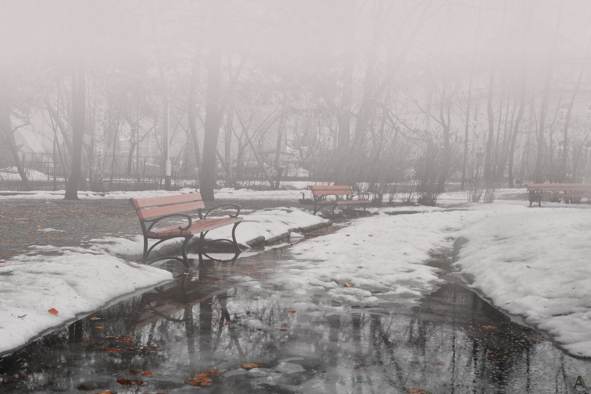 outdoors, 1080P, snow, tree, frozen, environment, winter, beauty in nature, bare tree, seat, plant, day, extreme weather, park, covering, scenics - nature, HD Wallpaper