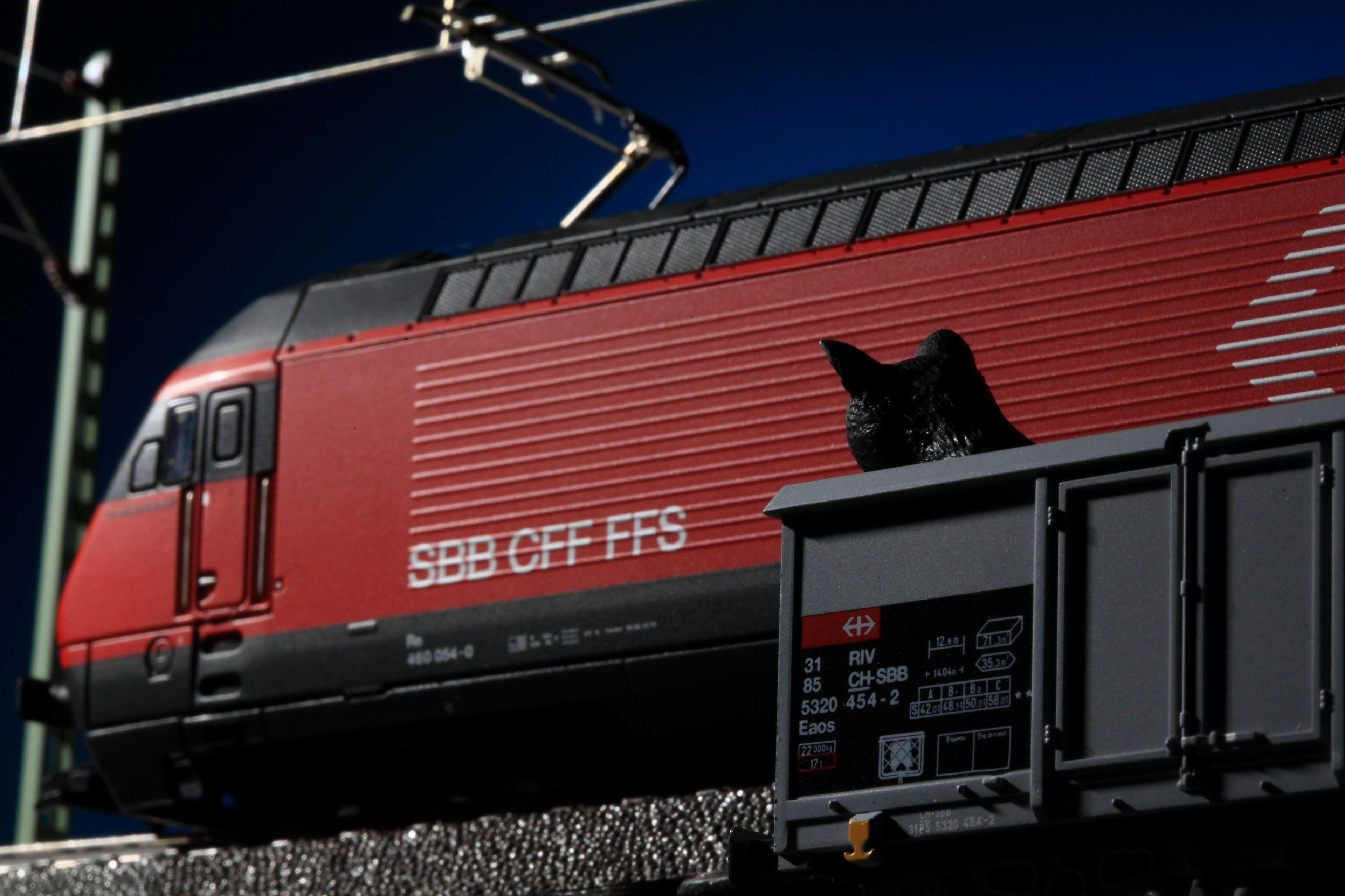 power line, sign, railway, black, sbb, re460, toy cat, feline, western script, pets, no people, sadness, lighting, detail, animal, ffs, electric, communication, HD Wallpaper