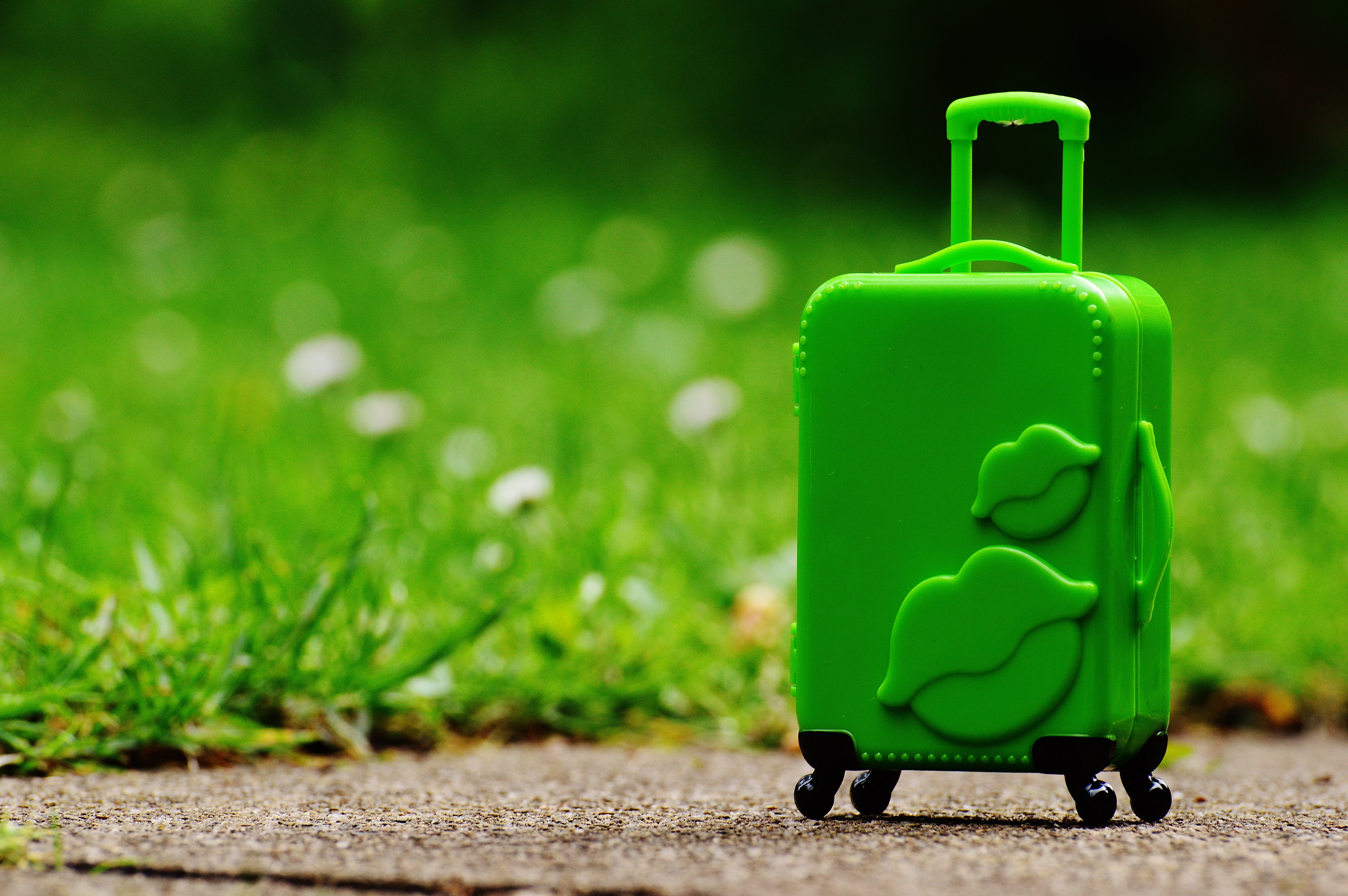 5K, green color, holiday, travel, lawn, hardcase, go away, sunlight, environment, good bye, plant, plastic, gardening, on the go, trolley, close-up, nature, HD Wallpaper