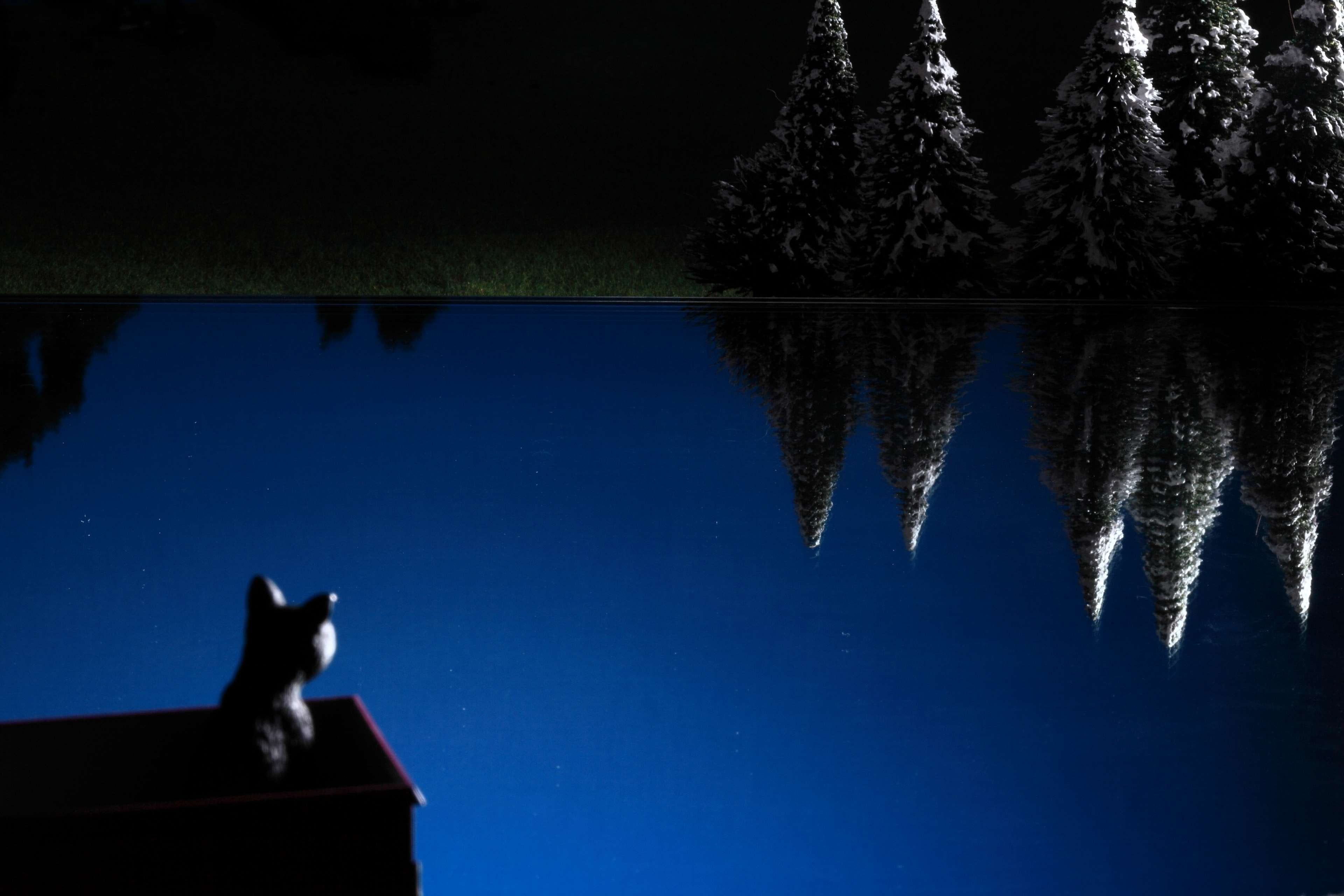 4K, calm, blue, animal representation, sadness, meditate, bye, leave, mirror surface, animals in the wild, sky, vertebrate, animal themes, lake, tranquil, HD Wallpaper
