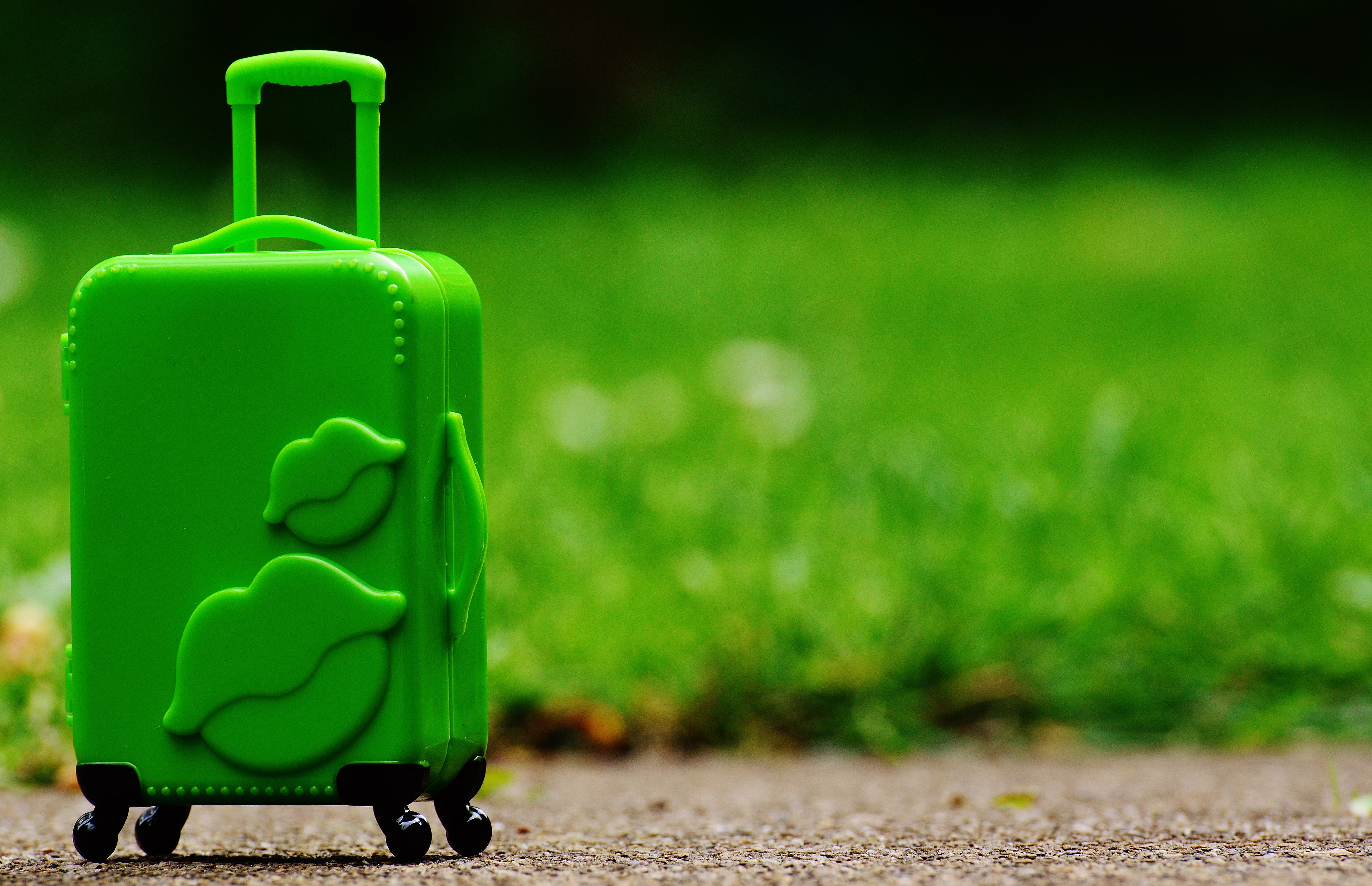 green, holiday, day, embossed, go away, holidays, outdoors, soil, lawn, close-up, good bye, plant, selective focus, on the go, green color, luggage, nature, HD Wallpaper