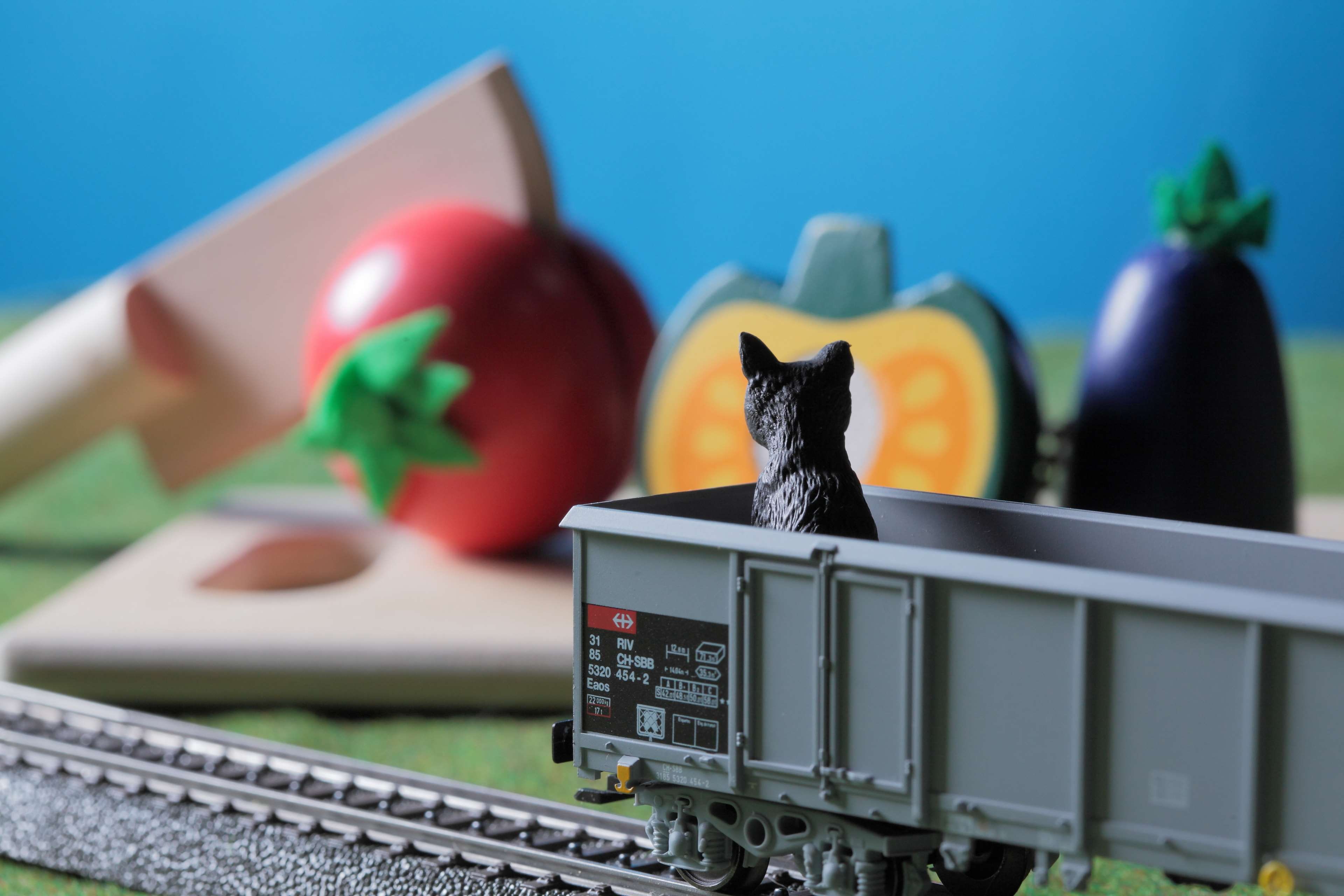 bye bye last week, tomato, 4K, cuttingboard, sad, model, sky, knife, animal wildlife, cook, blue, black, eggplant, bird, technology, departure, vertebrate, HD Wallpaper