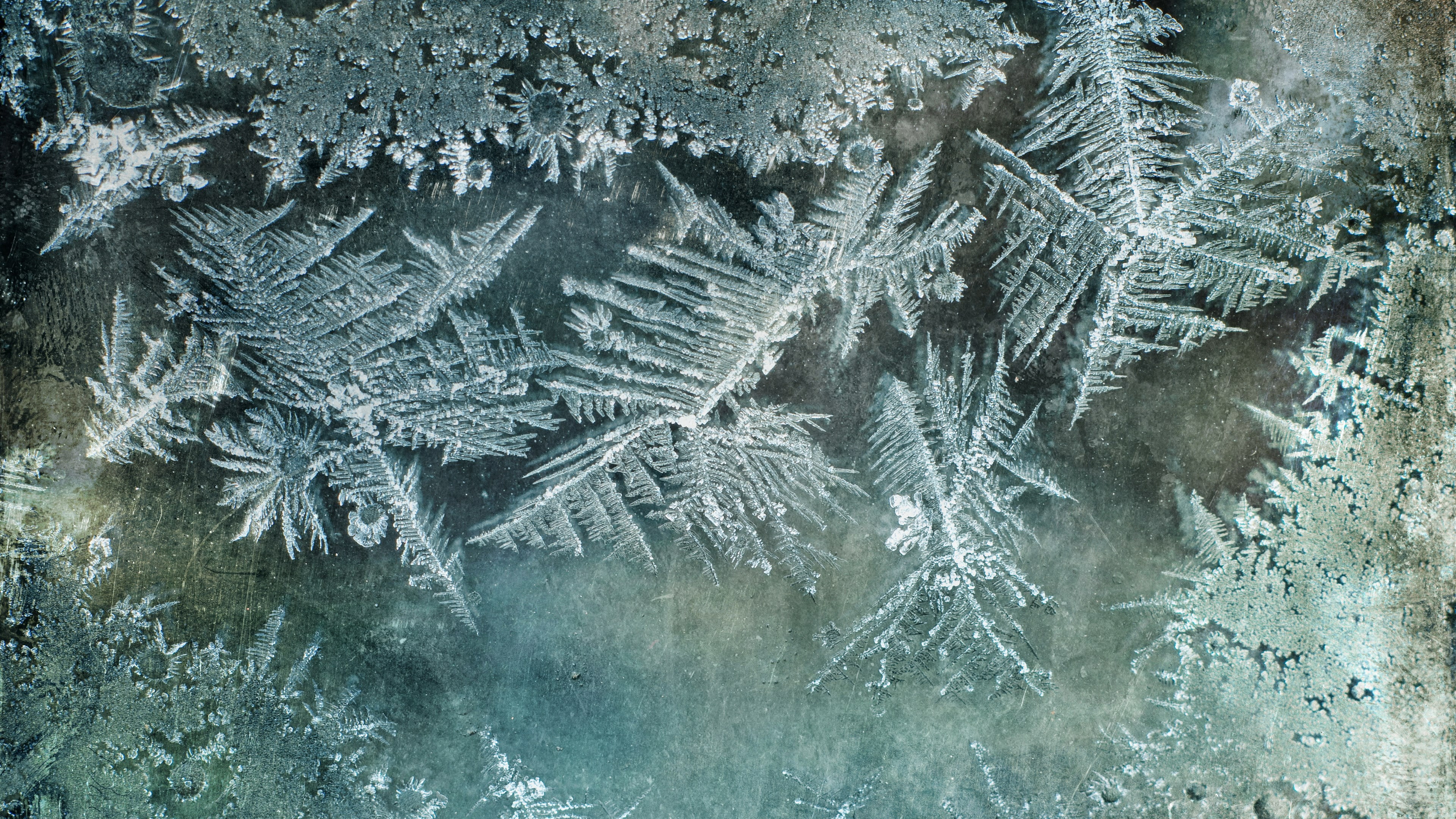 4k frosted glass image, winter, nature, frozen, natural pattern, textured, cold temperature, snow, no people, textured effect, ice, pattern, ice crystal, HD Wallpaper