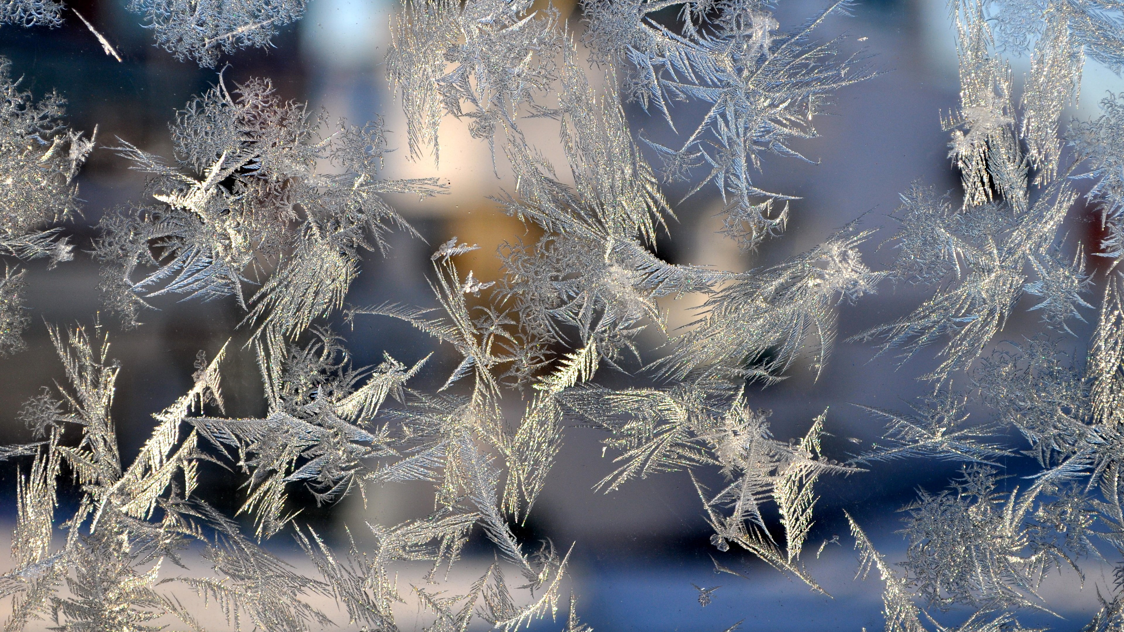 hd 4k frosted glass, frost, christmas, close-up, frozen, silver colored, macro, no people, textured effect, frozen water, cold temperature, ice crystal, HD Wallpaper