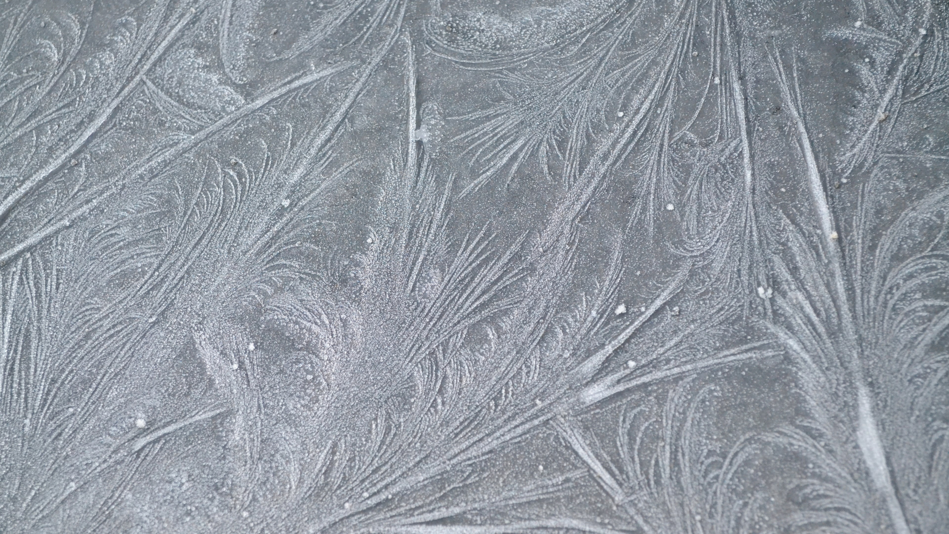 land, winter, tree, ice, frozen, silver colored, plant, pattern, snow, 4k frosted glass, nature, no people, textured, white color, full frame, blizzard, HD Wallpaper