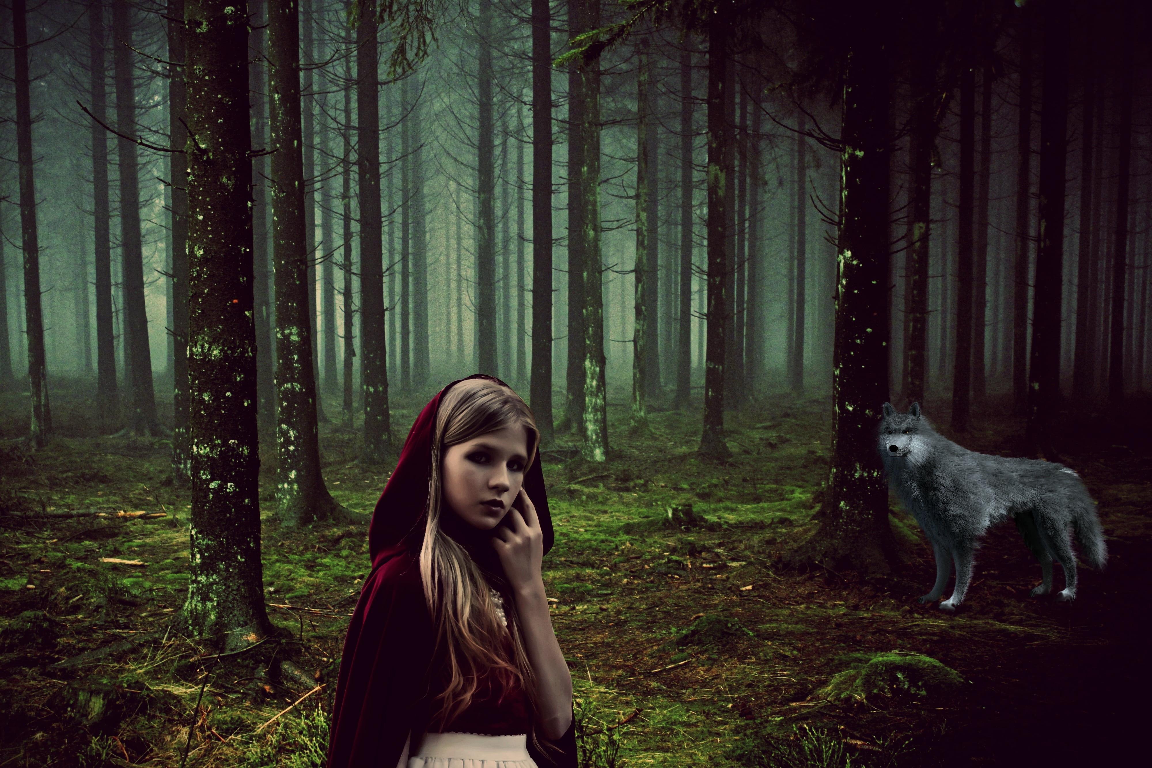 wolf, girl, tree trunks, domestic animals, 4K, mammal, woodland, land, gray, plant, human, one animal, young adult, rotkäppchen, mood, riding, hairstyle, HD Wallpaper