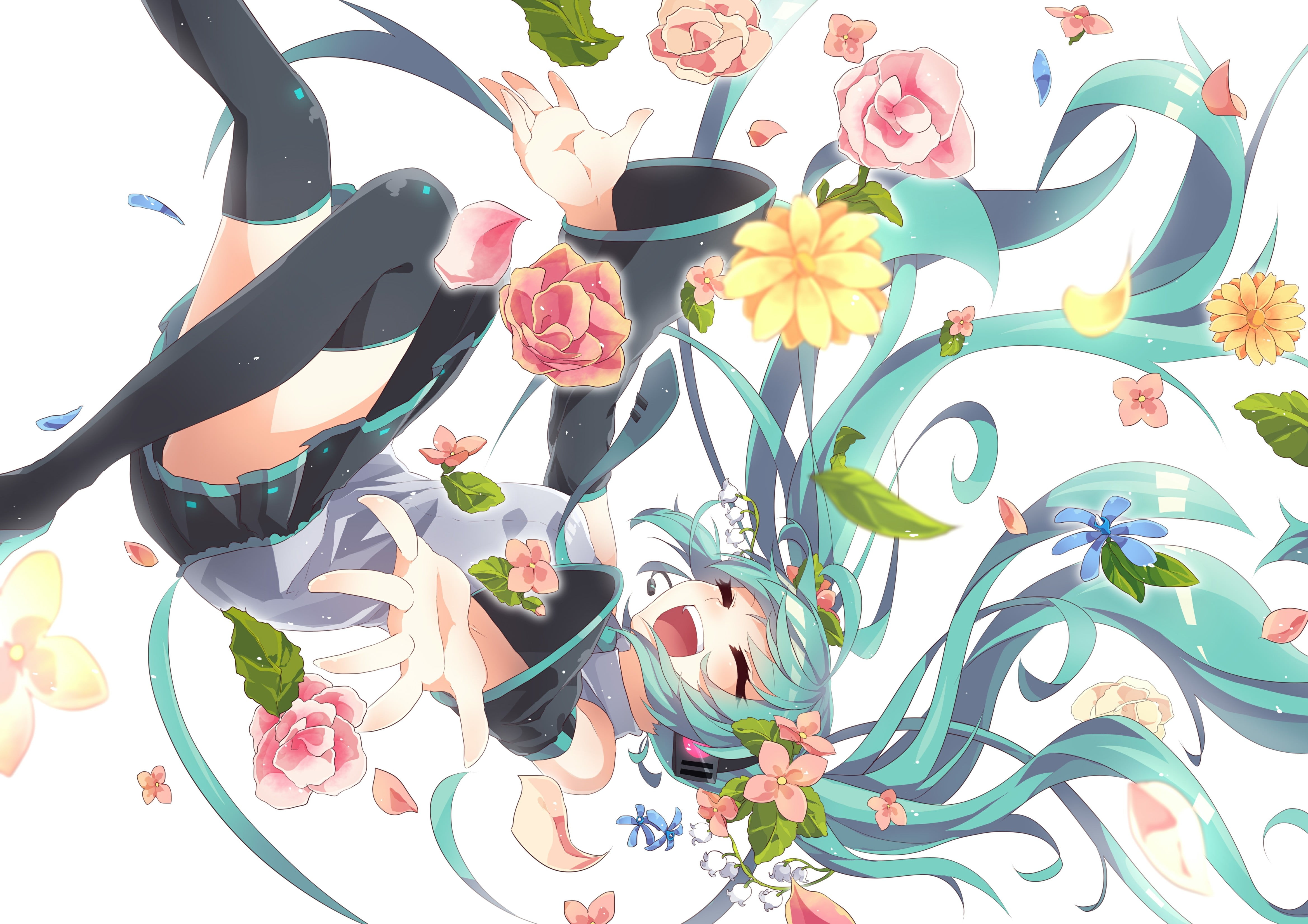 4K, flowering plant, close-up, indoors, flower, floral pattern, multi colored, creativity, beauty in nature, variation, table, Vocaloid, high angle view, HD Wallpaper