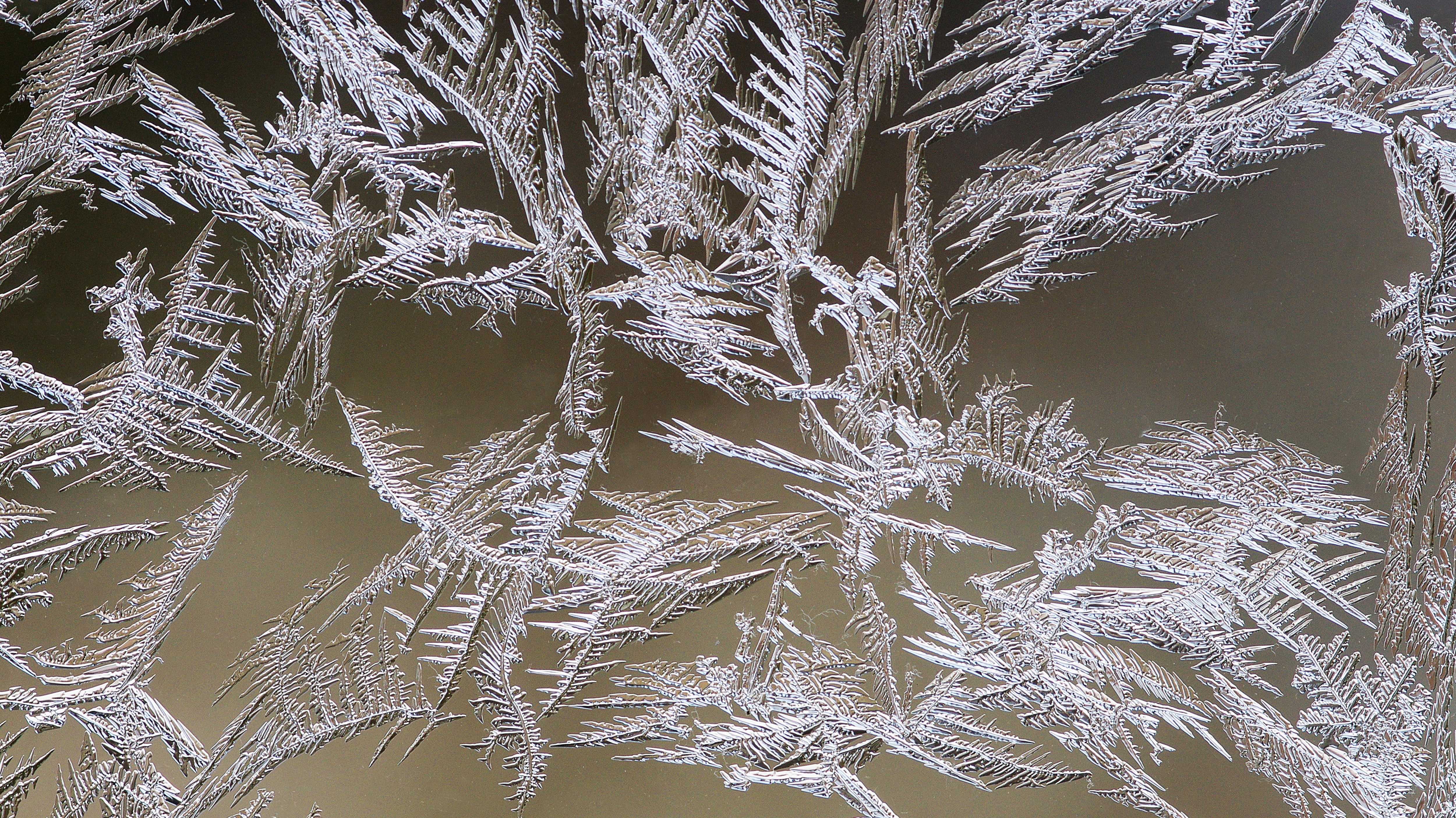 abstract backgrounds, pattern, magnification, winter, cold temperature, abstract, frosted glass  desktop, snow, backgrounds, full frame, nature, snowflake, HD Wallpaper