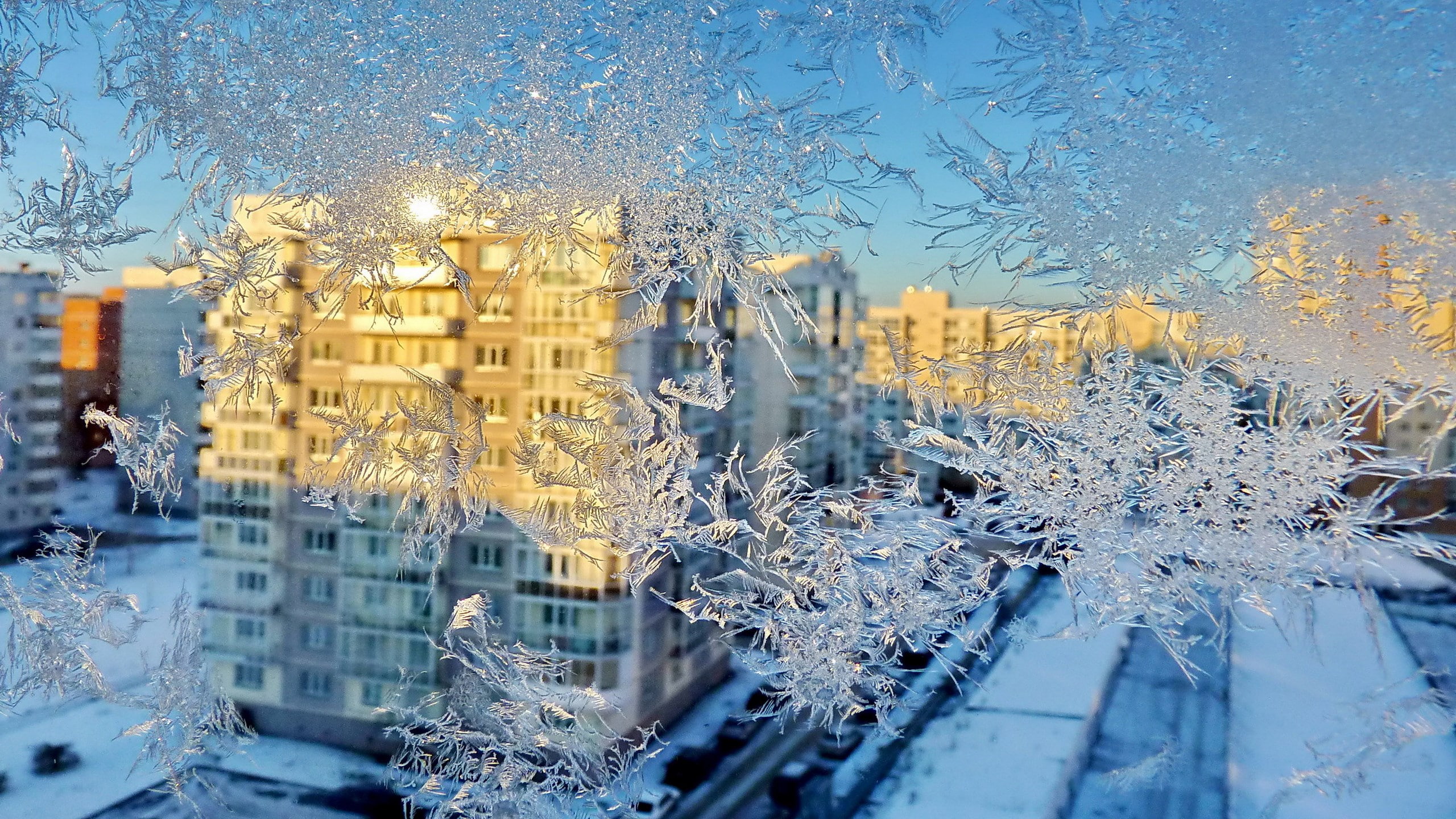 cold temperature, glass - material, tree, reflection, no people, outdoors, frozen, city, glass, nature, building, building exterior, snow, frosted window glass image for desktop, HD Wallpaper