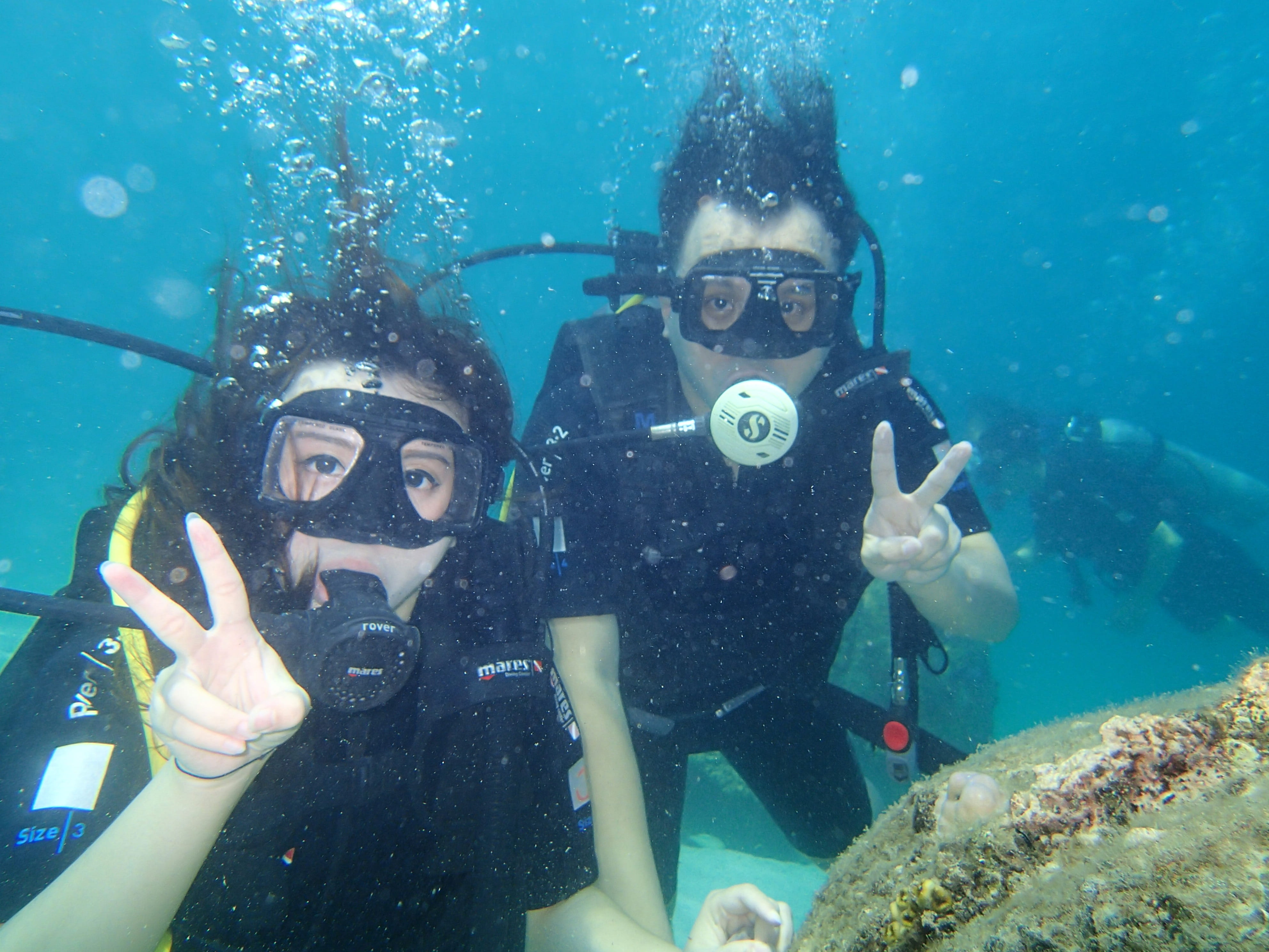 women, swimming, coral, Diving, men, tourism, water, aquatic sport, clown fish, underwater, 4K, two people, togetherness, couple - relationship, south-east asia, HD Wallpaper