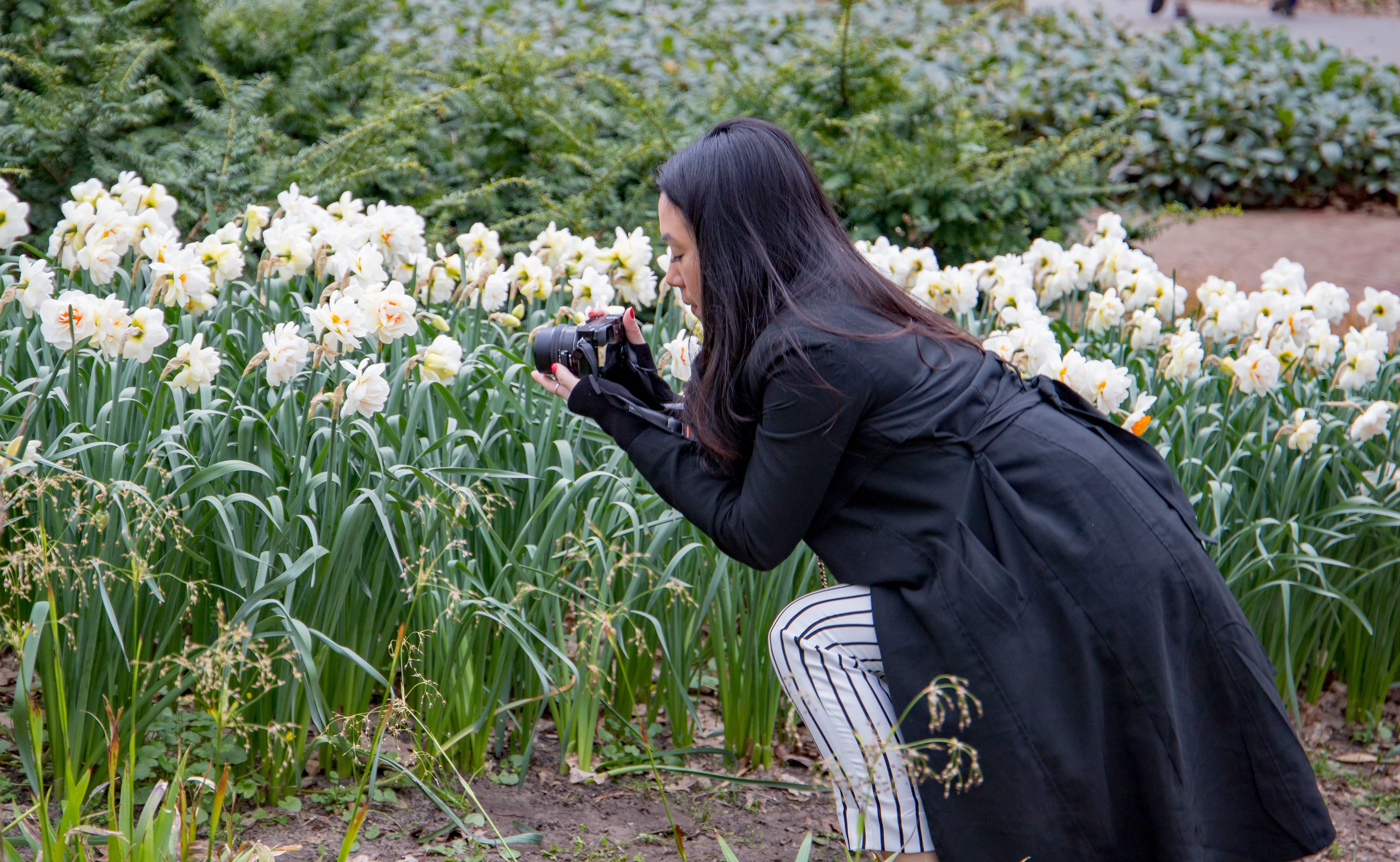 flower, flowers, lisse, standing, garden, adult, women, nature, outdoors, beauty in nature, shooting, long hair, young adult, keukenhof, hairstyle, side view, HD Wallpaper
