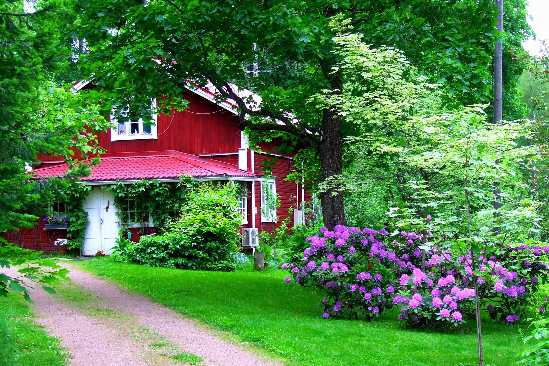 door, rural Scene, purple, landscaped, residential Building, red, no People, cottage, village, europe, pink, built Structure, outdoors, flowers, garden, HD Wallpaper