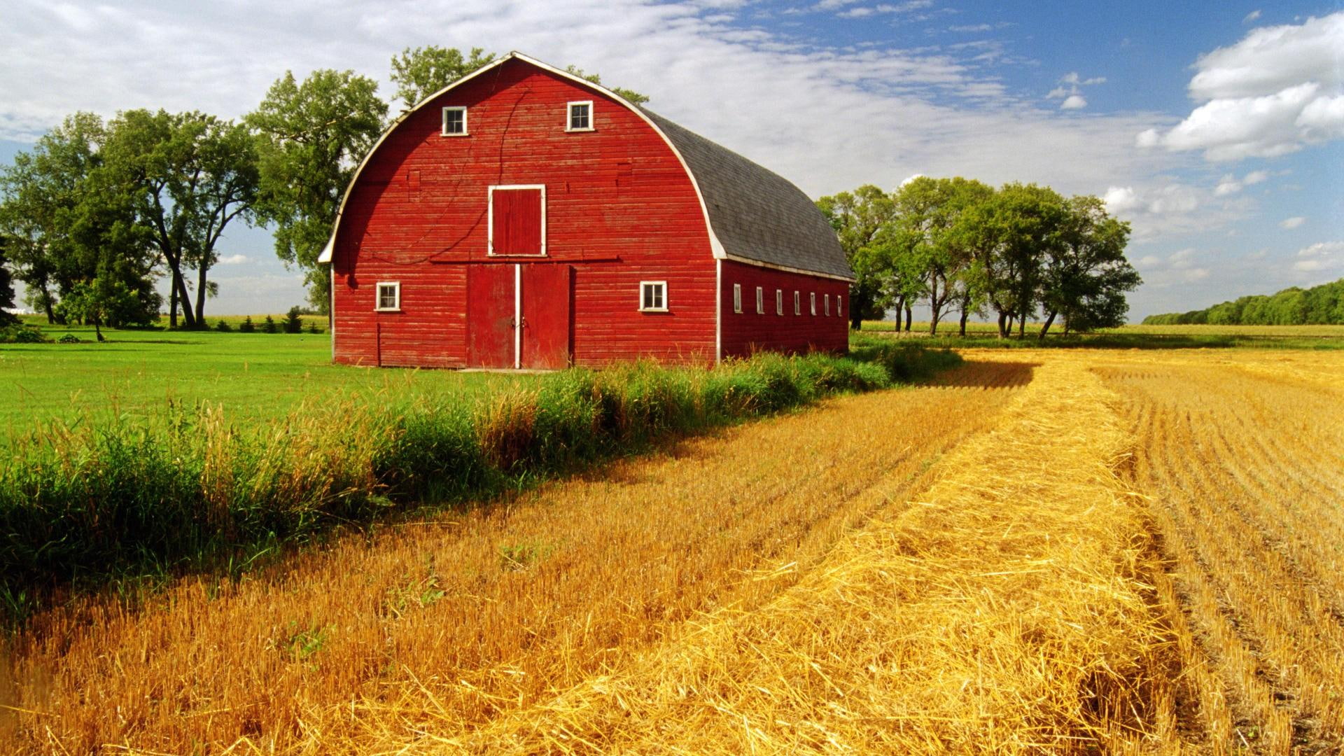 trees, beautiful, barn, 1080P, house, field, grass, 3d and abstract, HD Wallpaper