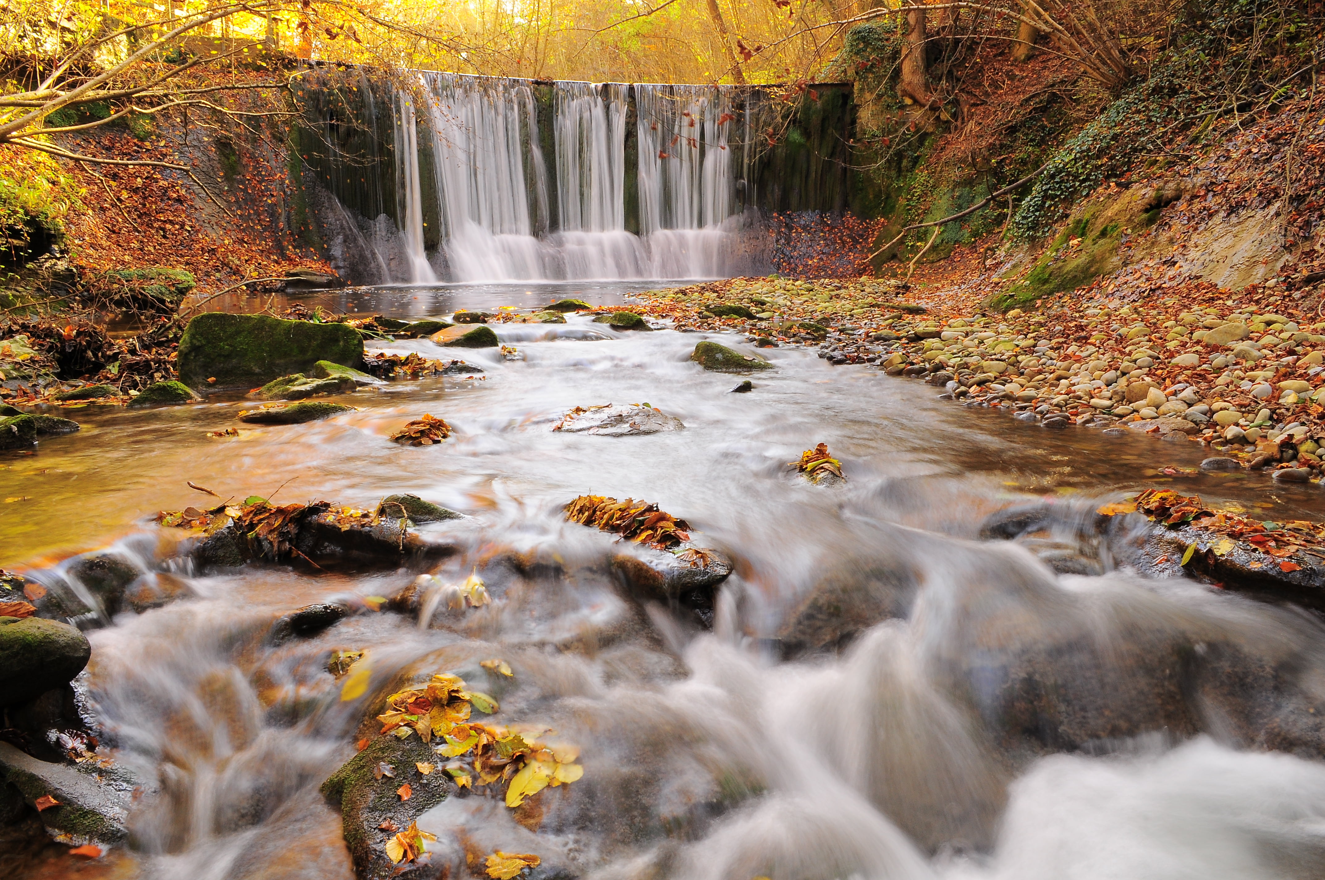 relax, freshness, suisse, stream, switzerland, color, water, scenics, rubiano, river, forest, swiss, 4K, falling, perspective, water falls, nature, d300, HD Wallpaper