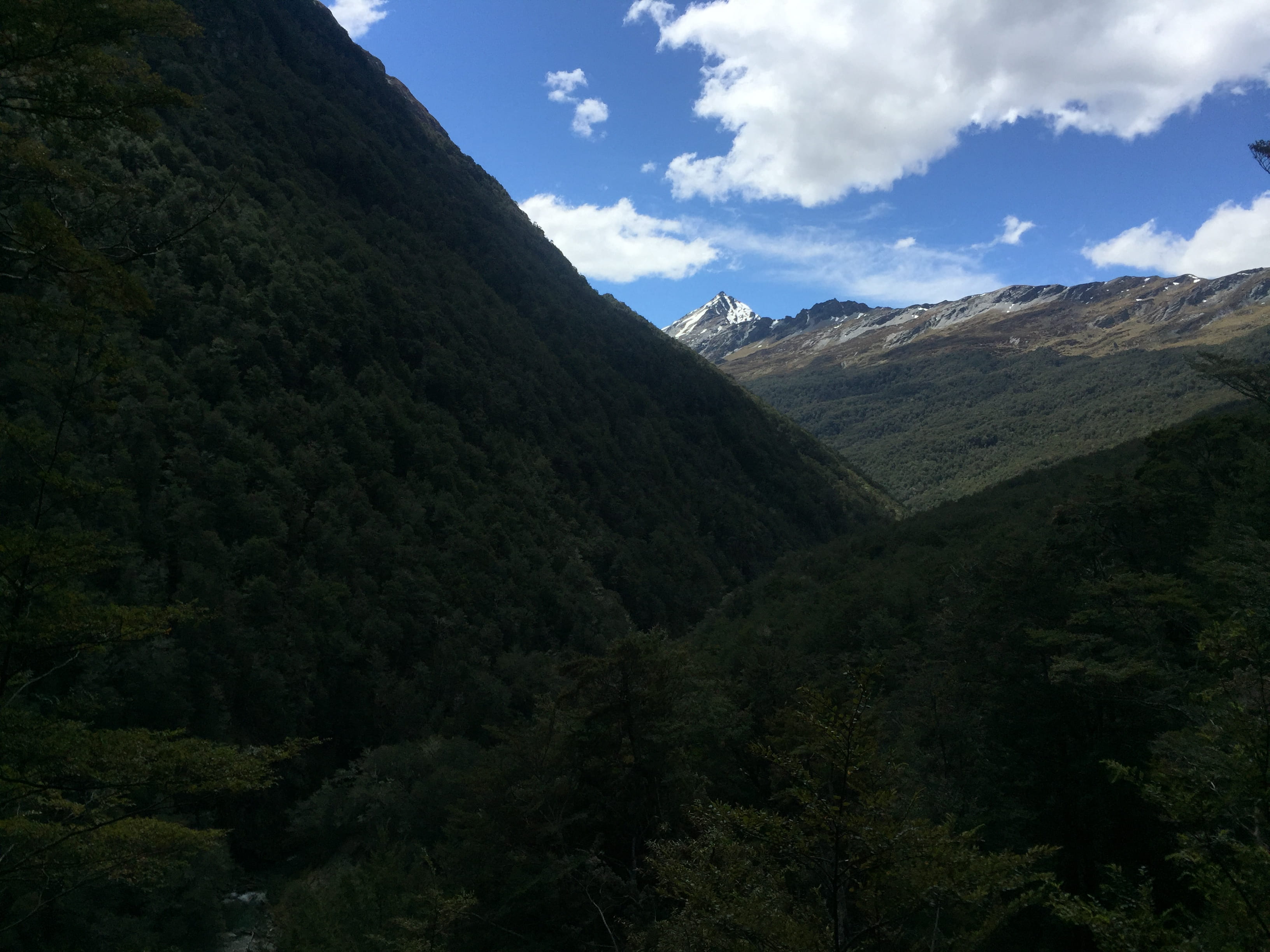 2K, outdoors, scenics - nature, environment, forest, sky, glenorchy, earnslaw, landscape, tree, growth, new zealand, mountain, trees, cloud - sky, tranquility, HD Wallpaper