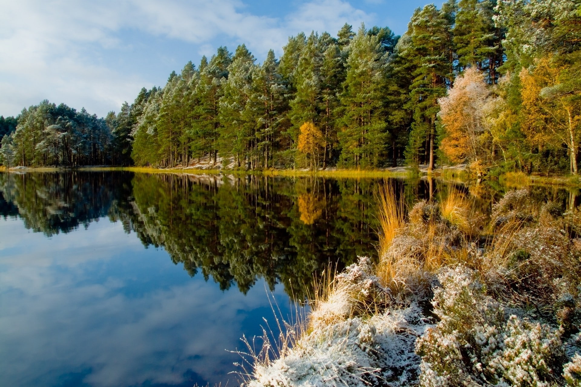 trees, reflection, forest, Scotland, calm, fall, snow, shrubs, symmetry, plant, standing water, landscape, scenics - nature, outdoors, cloud - sky, tranquility, HD Wallpaper