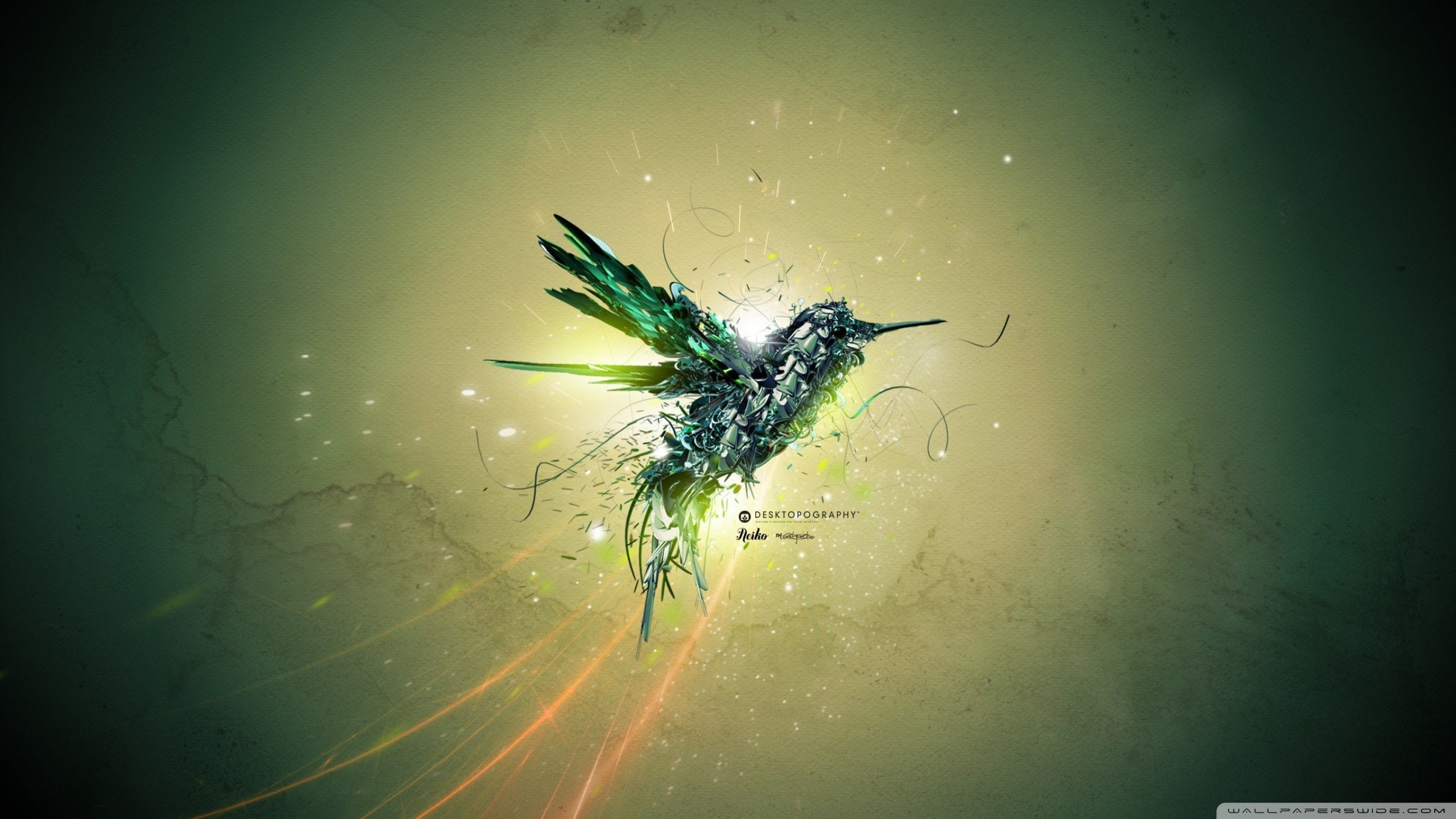 1080P, Colibri (bird), Desktopography, HD Wallpaper