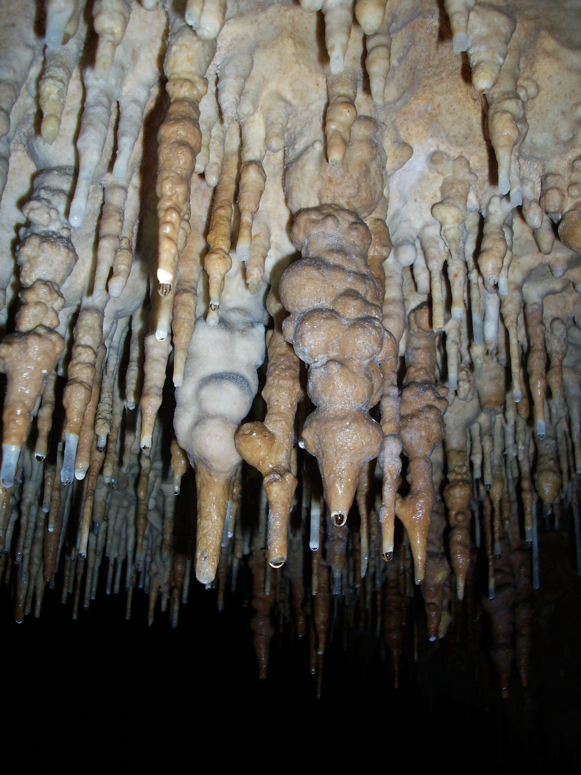 Stalactites, rock, still life, nature, caving, vegetable, bone, religion, day, large group of objects, limestone, Ceiling, indoors, pattern, Cave, Geology, Phone HD Wallpaper