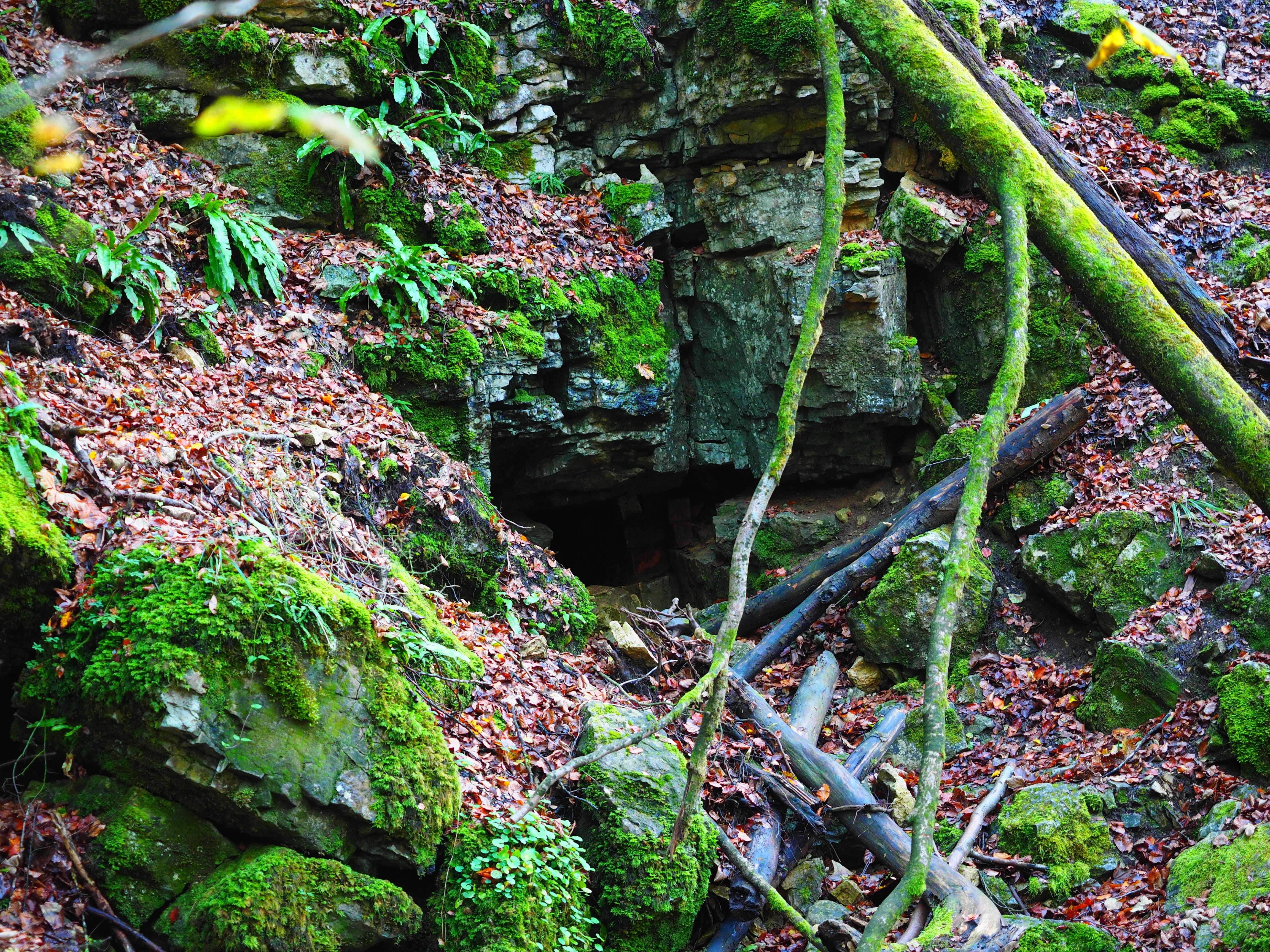 clammy, land, green color, day, flowing, beauty in nature, adventure, rock - object, water, gorge, elsachbröller, forest, rock, plant, cave tour, bad urach, HD Wallpaper