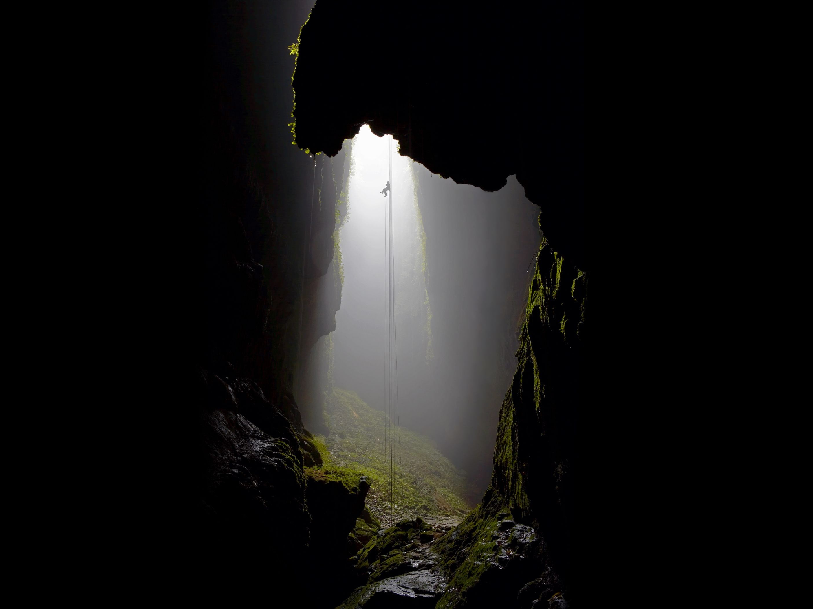 nature, cave, sotano de las golondrinas, Mexico, spelunking, 2K, Rappeling, HD Wallpaper