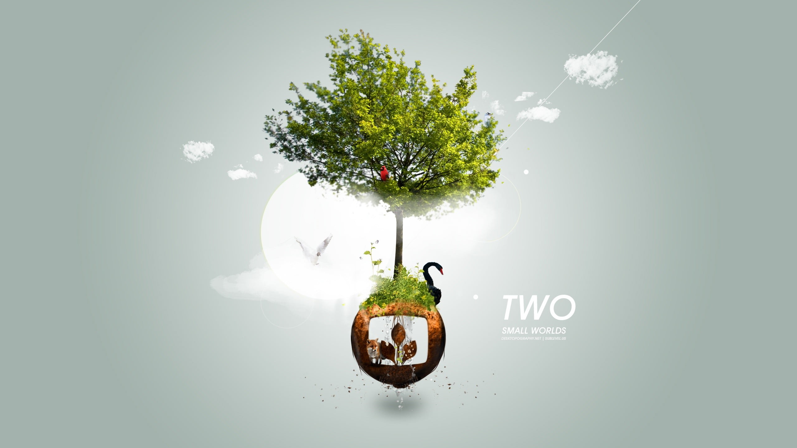 communication, plant, no people, digital composite, text, growth, board, tree, indoors, 2K, digital art, decor, landscape, western script, creativity, HD Wallpaper