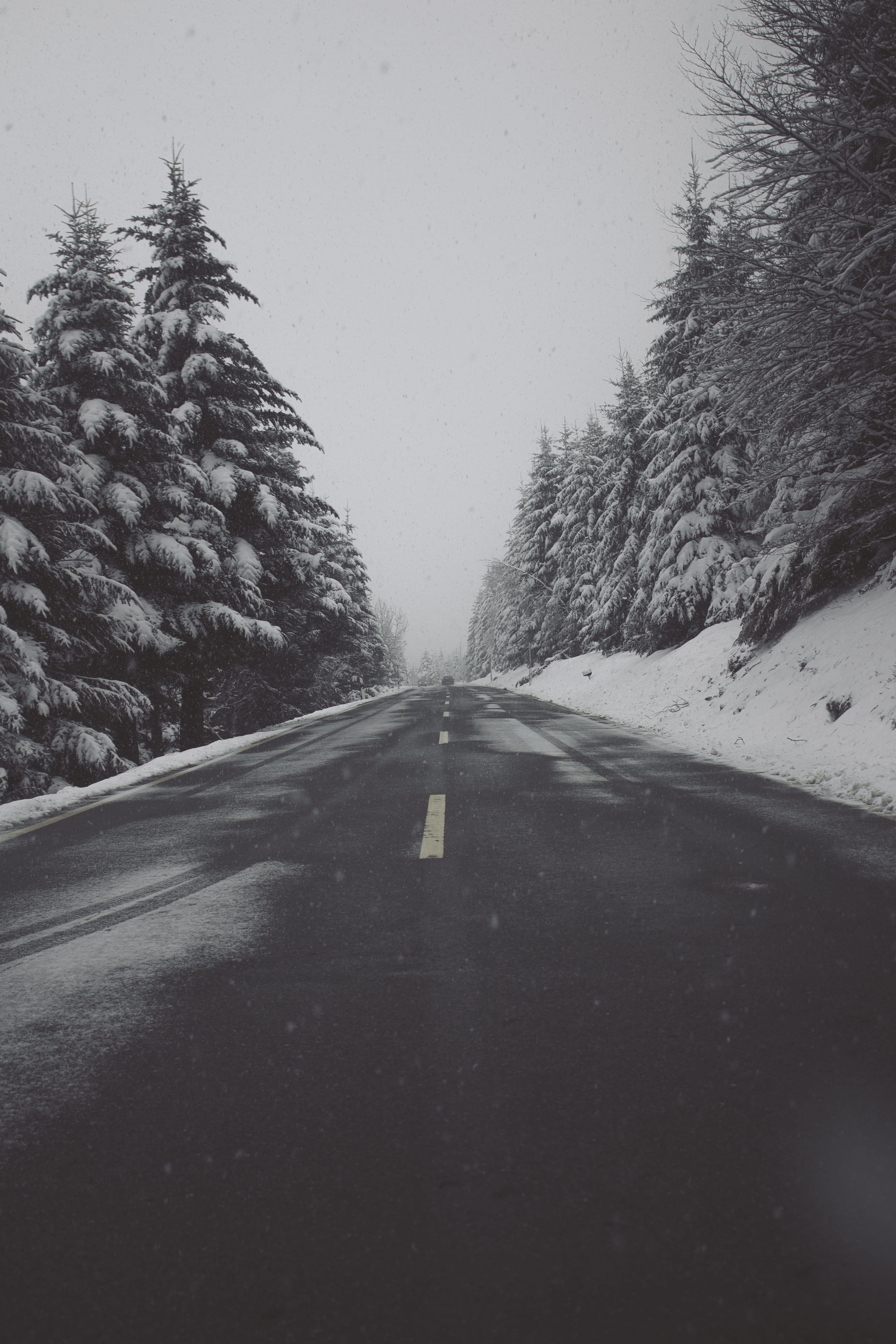 mood, winter, road, tree, day, nature, no people, snowing, 5K, cold temperature, snowfall, outdoors, the way forward, sky, blackforest, symbol, road marking, Phone HD Wallpaper