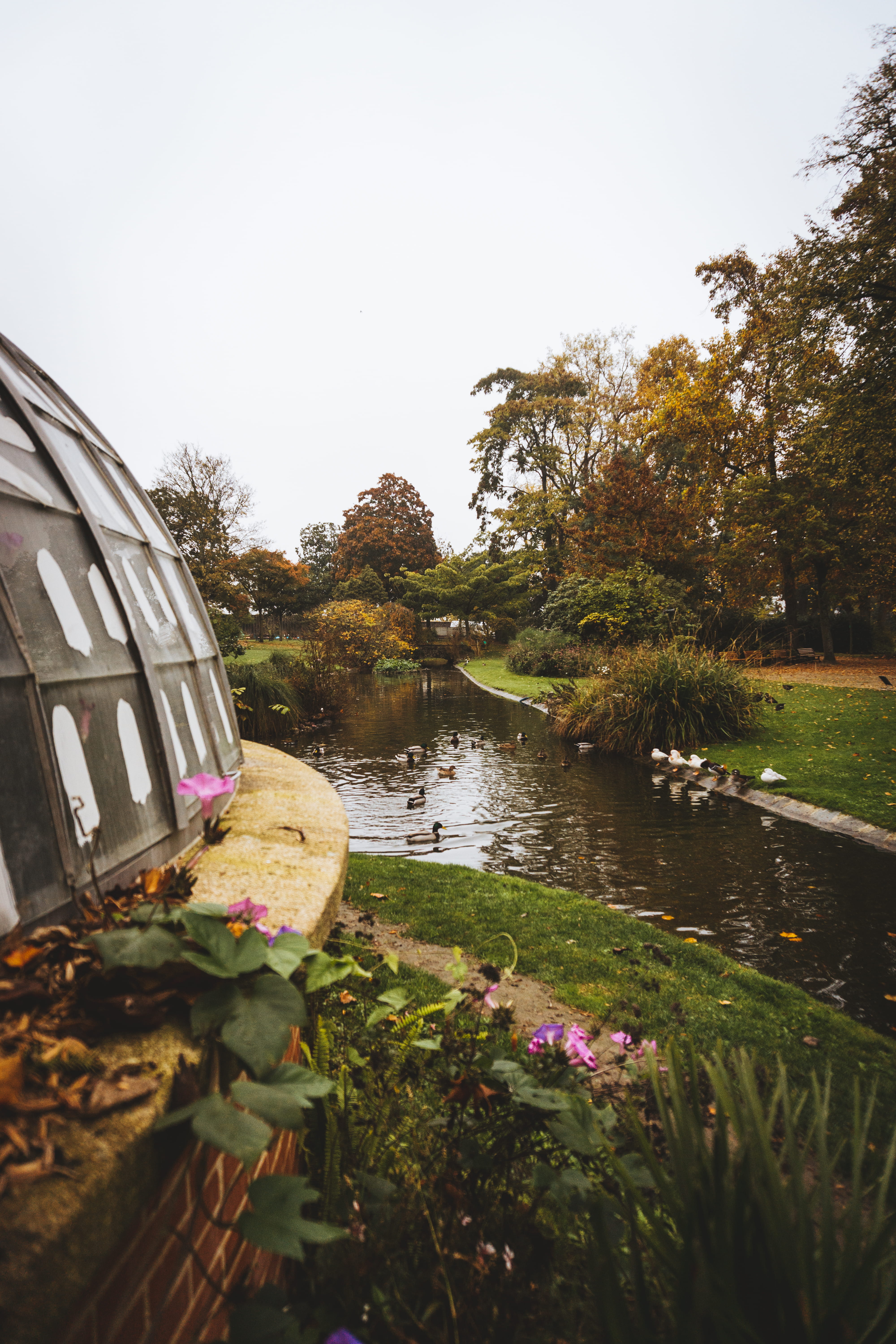 botanical garden, nantes, leaf, flowering plant, flower, floating on water, 5K, mobile, clear sky, built structure, growth, nature, vsco, water, Phone HD Wallpaper