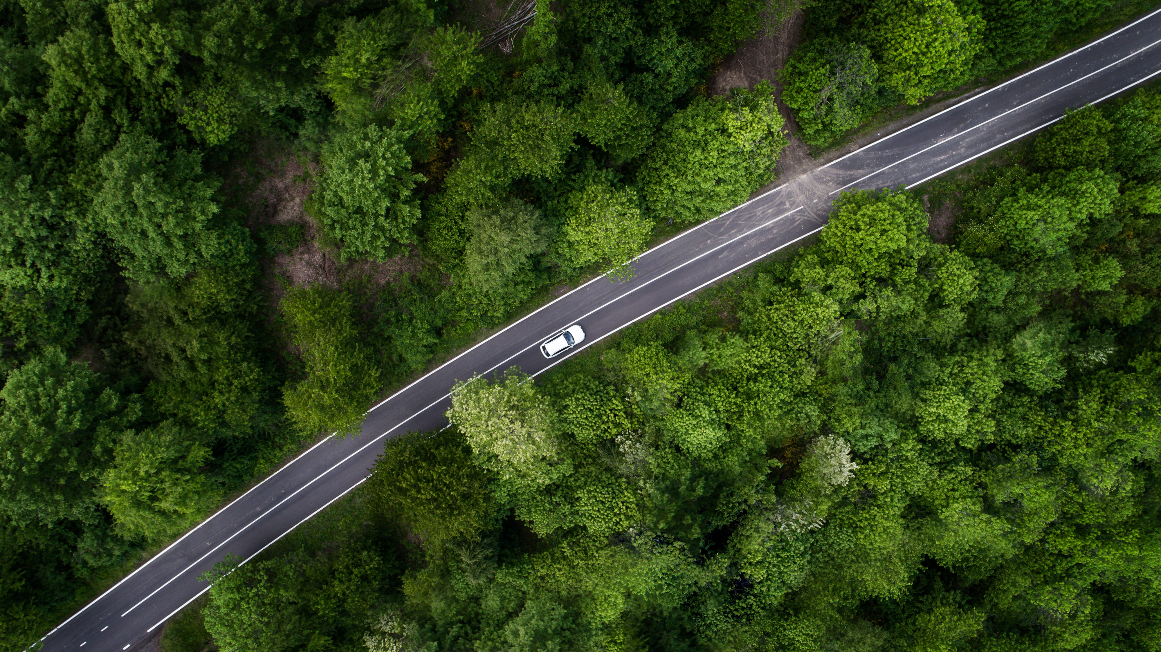 outdoors, mode of transportation, day, green color, woodland, highway, white, growth, nature, prospective, transportation, sign, road, no people, photography, HD Wallpaper