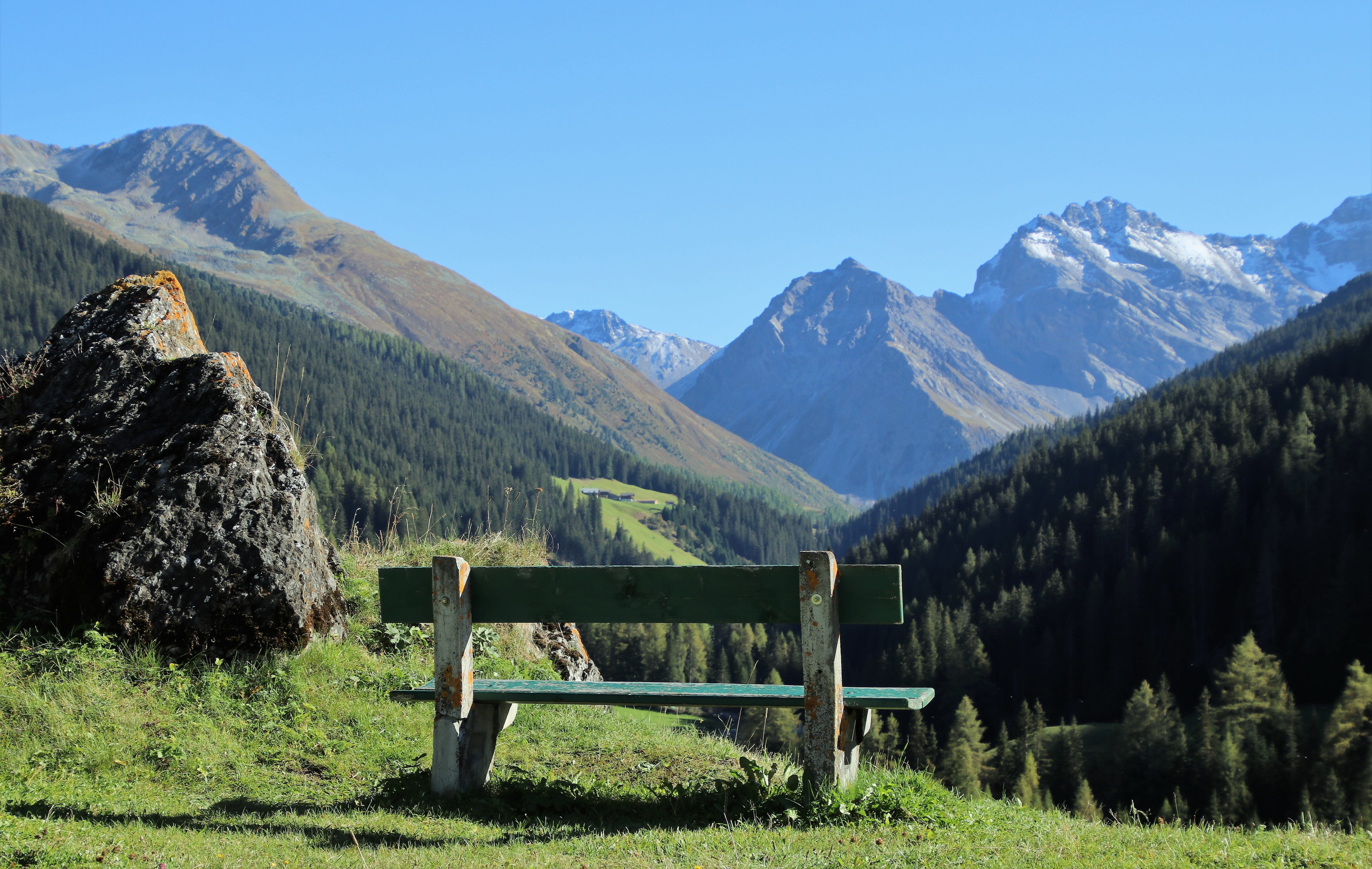 bench, tops, mountain, see, davos, landscape, tree, high, beauty in nature, tourism, rocks, land, mountain peak, meadow, field, sit, tranquil scene, nature, HD Wallpaper