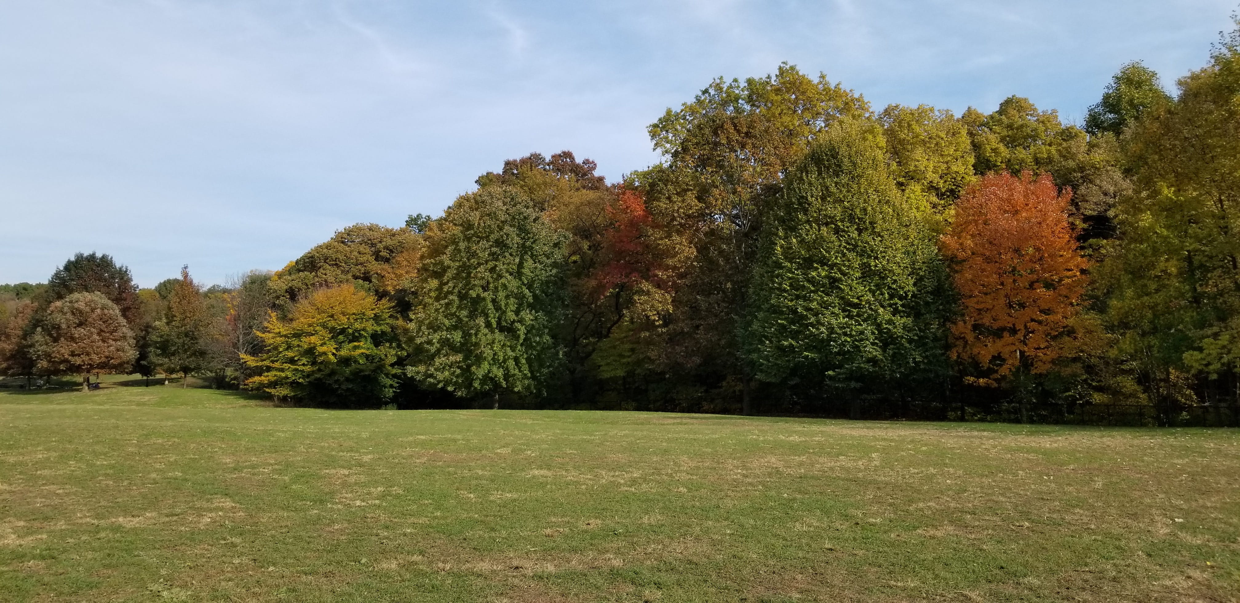 change, brooklyn, nature, tranquility, environment, non-urban scene, no people, tree, sky, beauty in nature, fall, autumn, outdoors, tranquil scene, field, HD Wallpaper