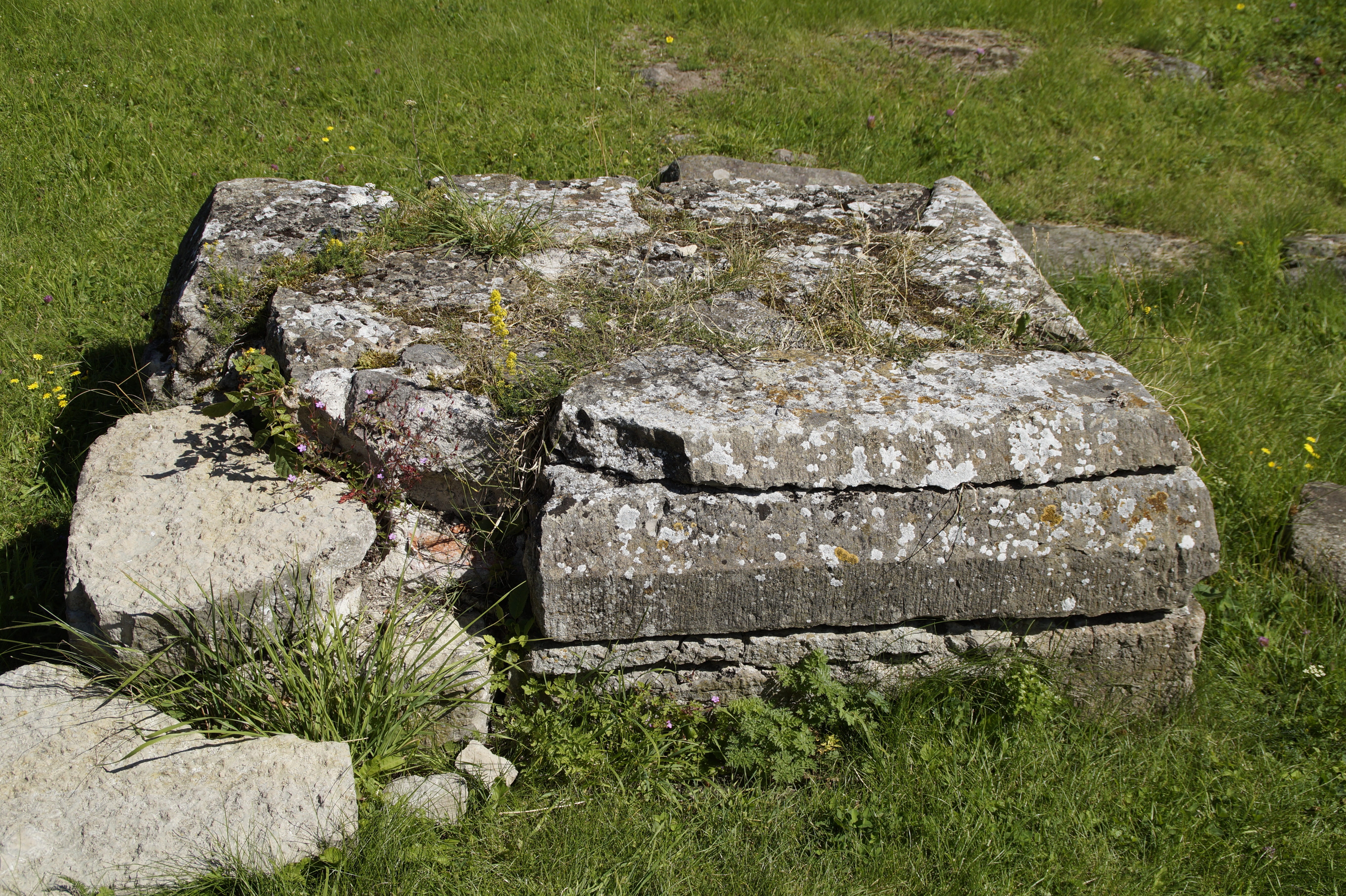 solid, podium, cracked, bark, pillar, no people, weathered, growth, stone - object, rock, grass, stony, high angle view, green color, tree, 5K, tranquility, HD Wallpaper