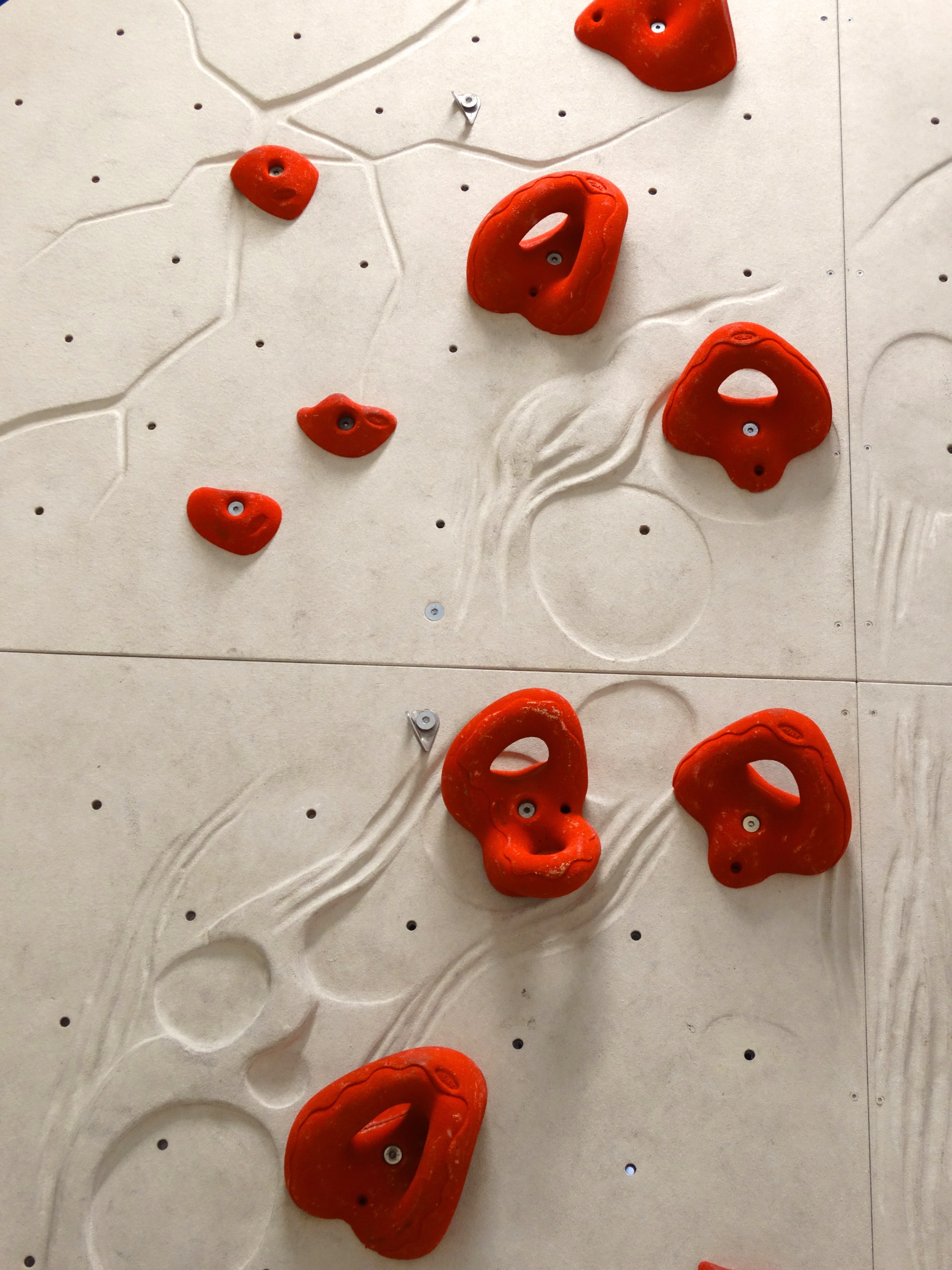 artificial grips, animal representation, artificial, full frame, close-up, climbing wall, climbing holds, handles, number, food, shape, high angle view, Phone HD Wallpaper