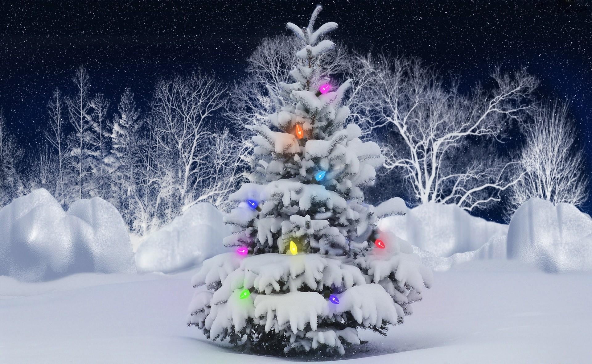 1080P, holiday - event, snowflake, blue, garland, forest, frozen, christmas tree, decoration, no People, cold temperature, land, elka, christmas, outdoors, HD Wallpaper