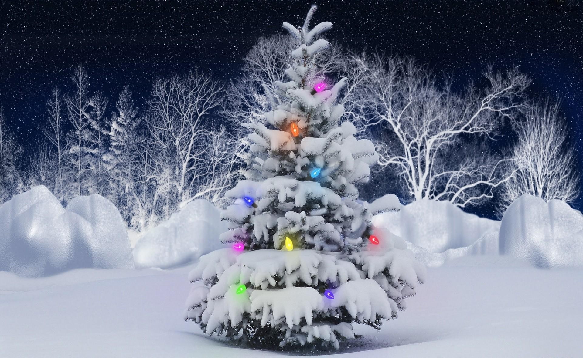 christmas, tree, cold temperature, christmas tree, land, snowing, no people, white color, illuminated, Frost, decoration, winter, Elka, beauty in nature, HD Wallpaper