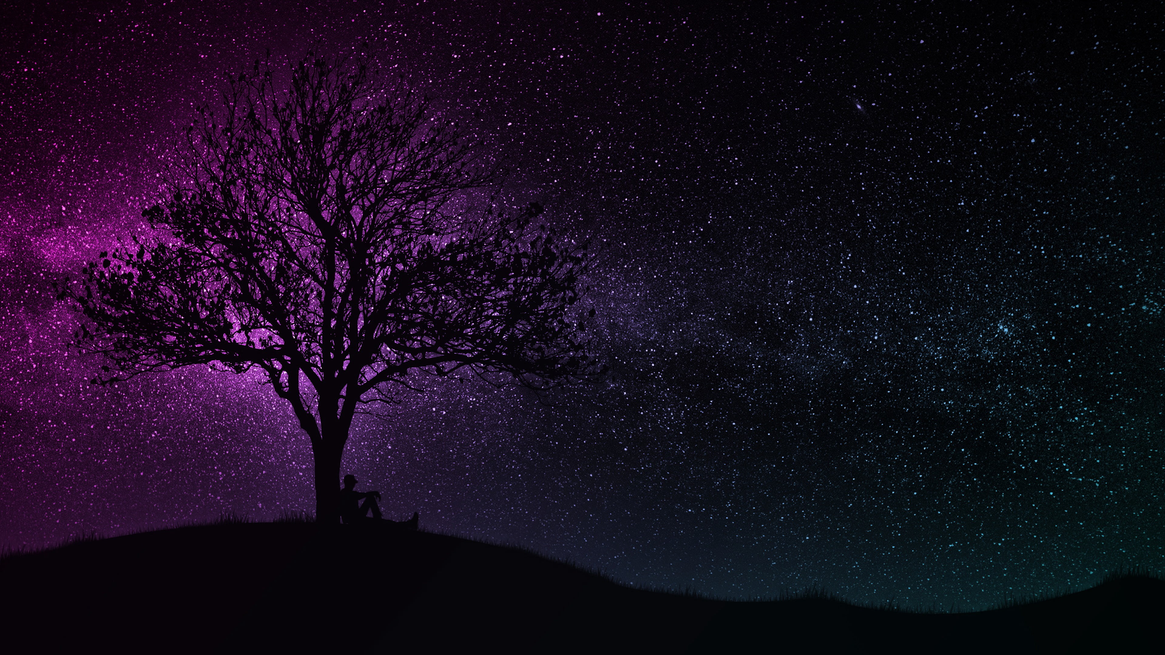 4K, dark, art, purple, starry sky, silhouette, tree, 4k uhd background, miscellaneous, hill, man, black, HD Wallpaper