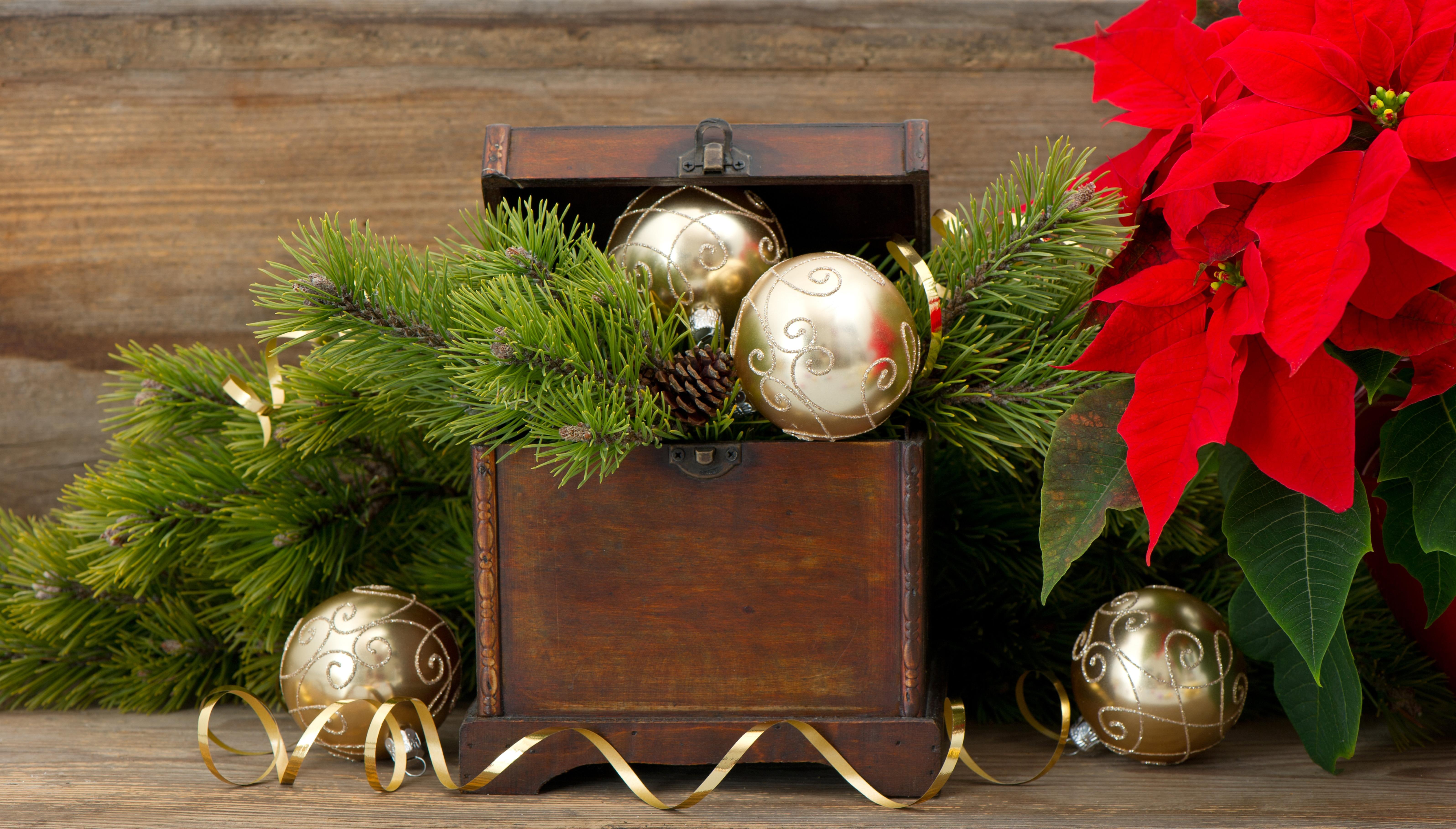 balls, christmas, 5K, branches, holidays, miscellaneous, christmas balls, HD Wallpaper