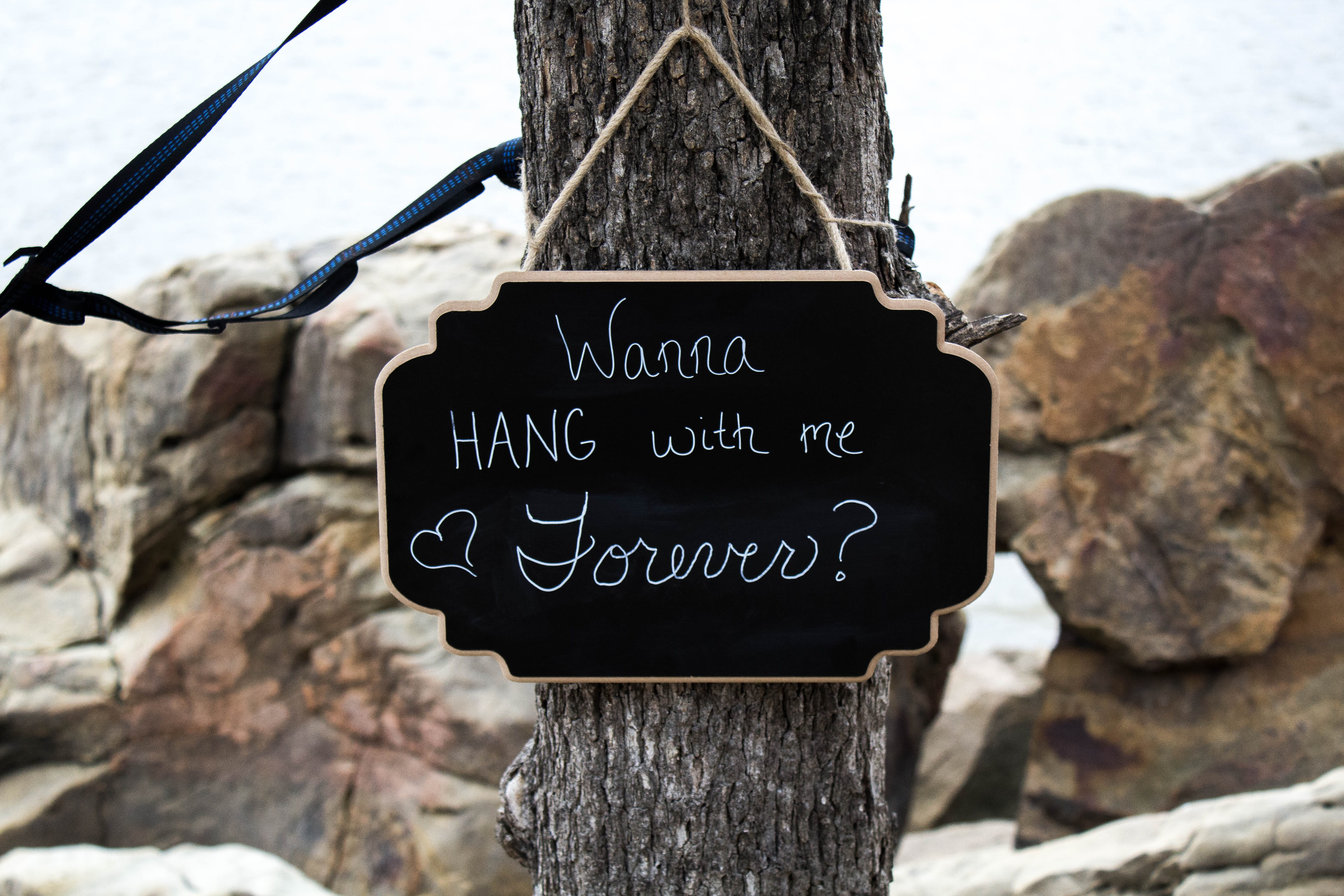 wanna, close, hang, forever, message, view, wood - material, tree trunk, tree, signage, day, outdoors, arrow symbol, black, rocks, board, 5K, close-up, HD Wallpaper