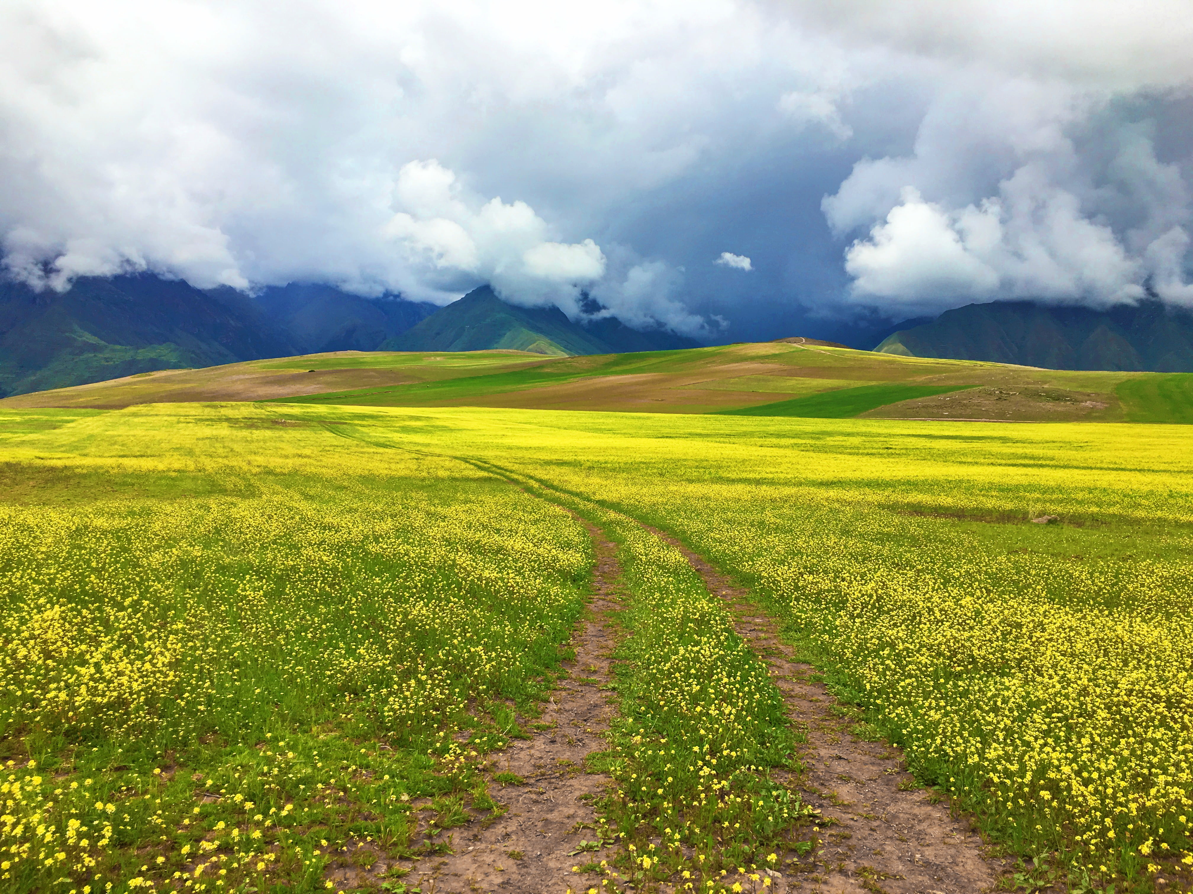 outdoors, outdoor, rural Scene, scenery, scenic, green Color, cloud - Sky, Mountain, plant, clouds, Lie, near, sky, field, meadow, grassland, hill  field, HD Wallpaper