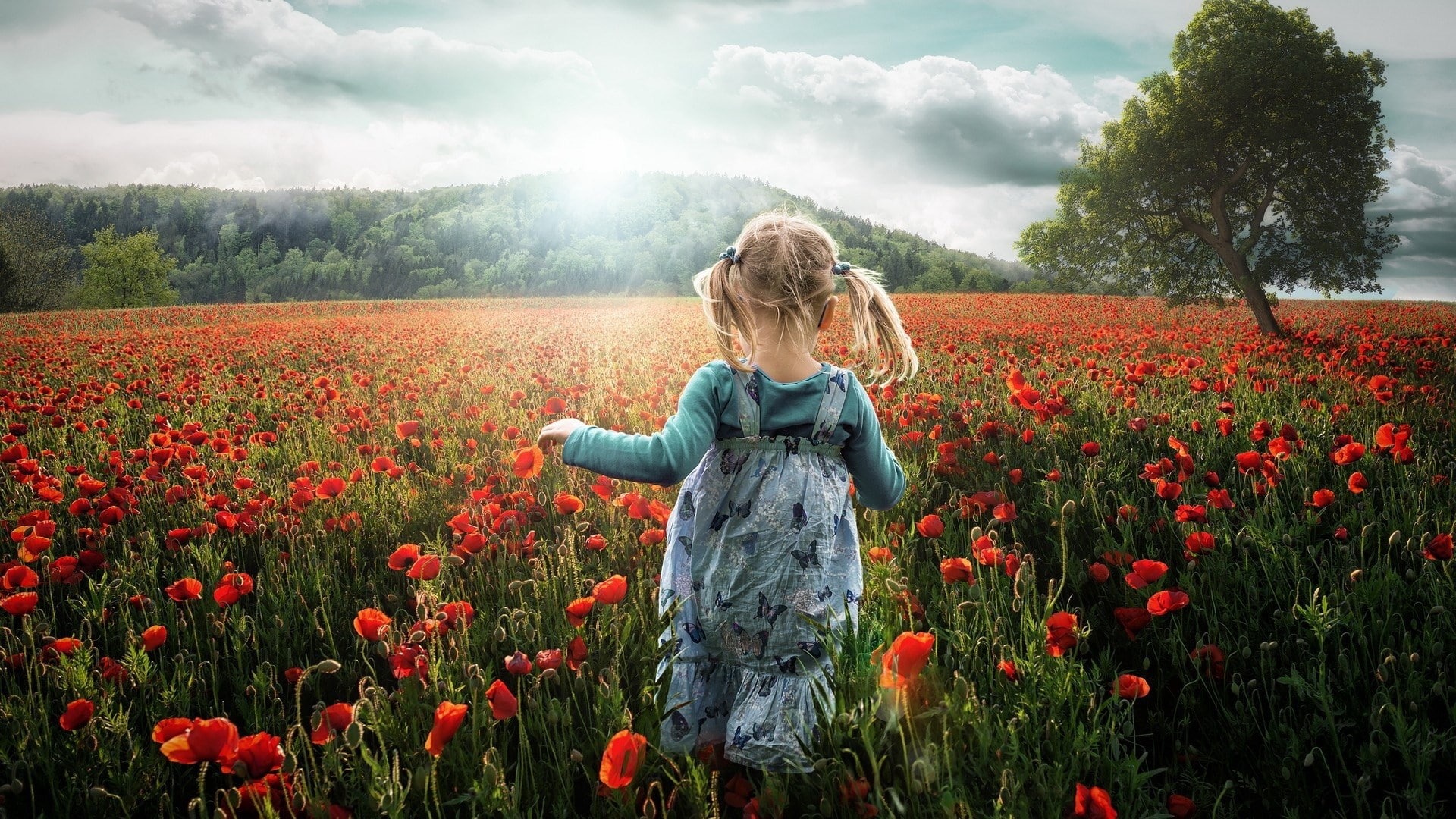 nature, one person, land, widescreen nature  high resolution 1920x1080, young adult, hairstyle, landscape, adult, rear view, women, 1080P, growth, flowering plant, HD Wallpaper