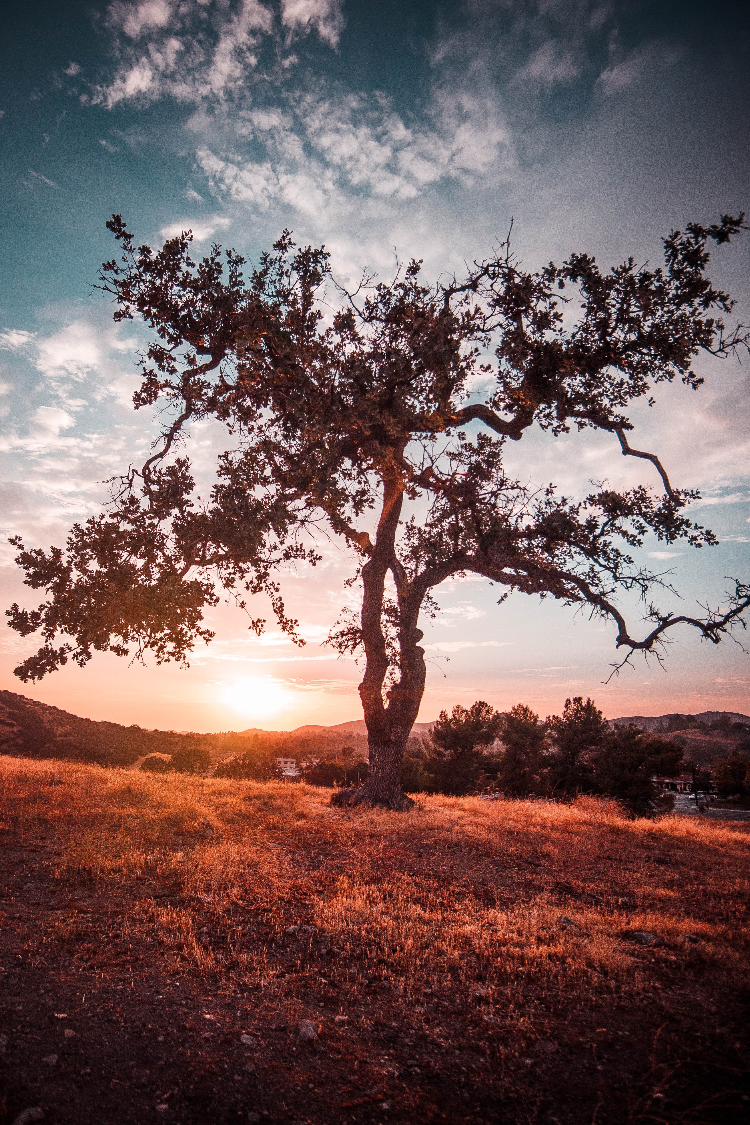 malibu, tranquil scene, plant, growth, nature, clouds, scenics - nature, landscape, land, no people, story, 4K, non-urban scene, field, outdoors, lifetime, Phone HD Wallpaper