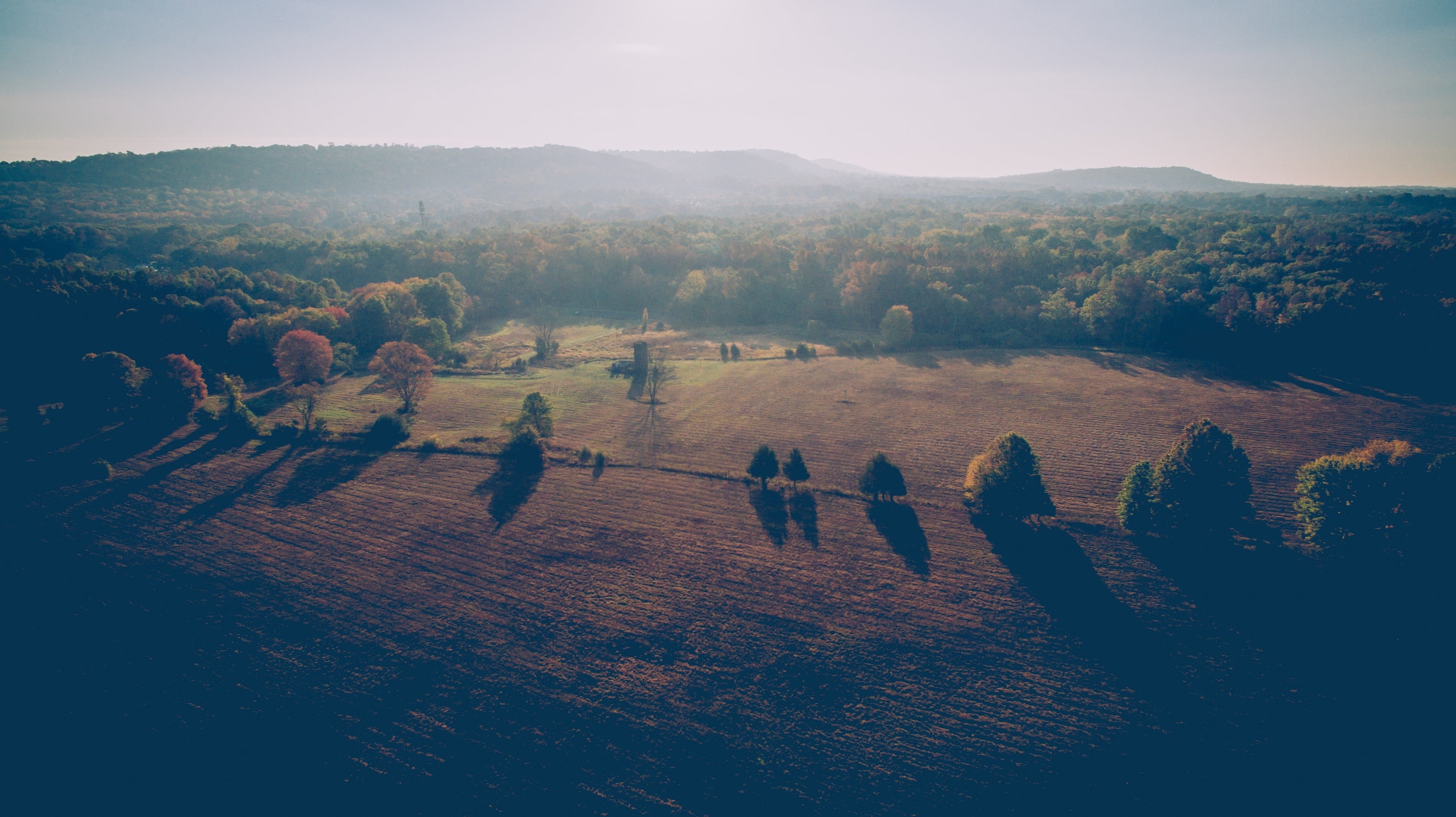 scenics - nature, domestic animals, outdoors, sky, plains, landscape, high angle view, animal themes, mammal, trees, day, land, brown, group of animals, HD Wallpaper