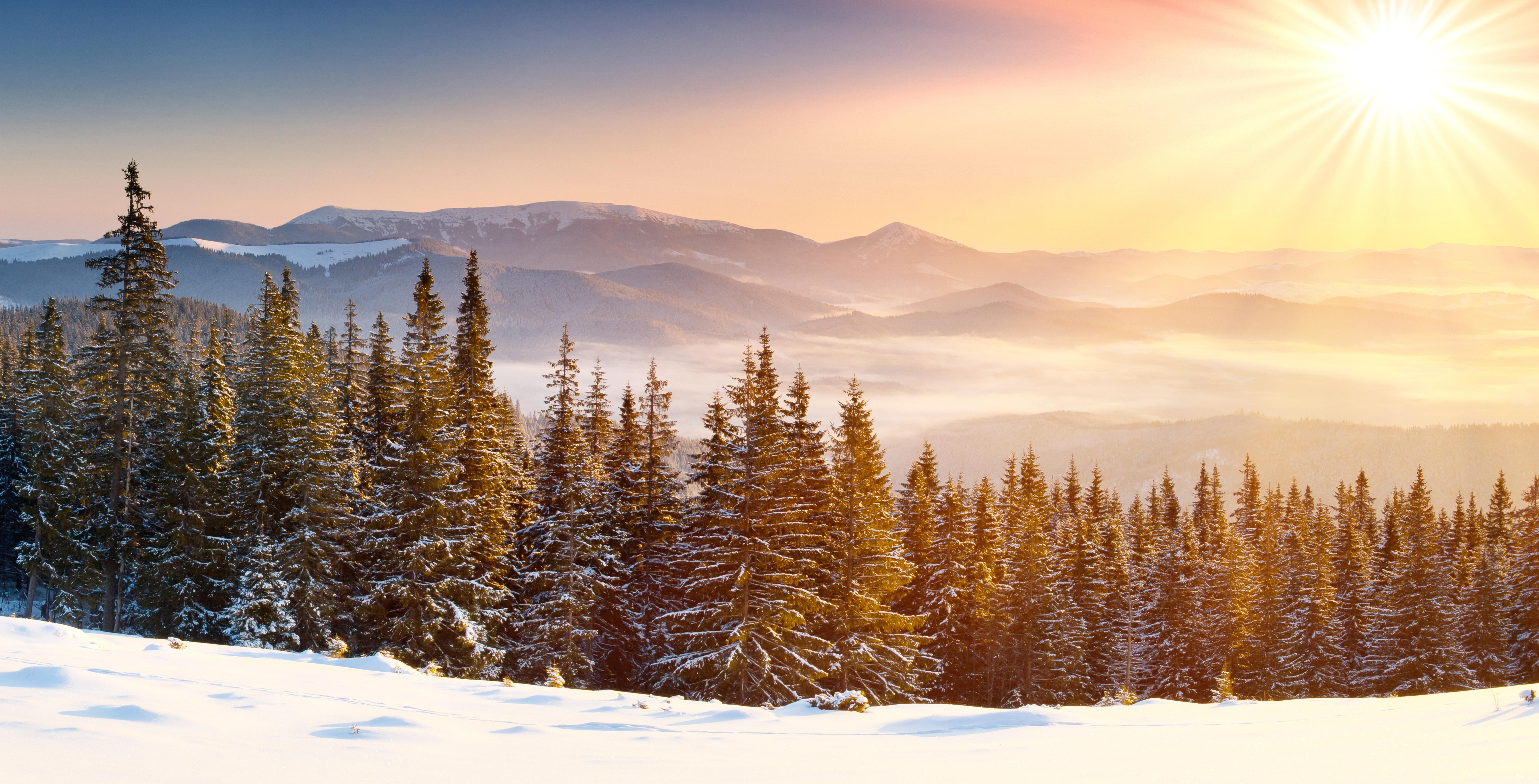 environment, trees, coniferous tree, clear sky, pine woodland, no people, snowcapped mountain, mountain, land, frozen, landscape, winter, plant, sun rays, HD Wallpaper