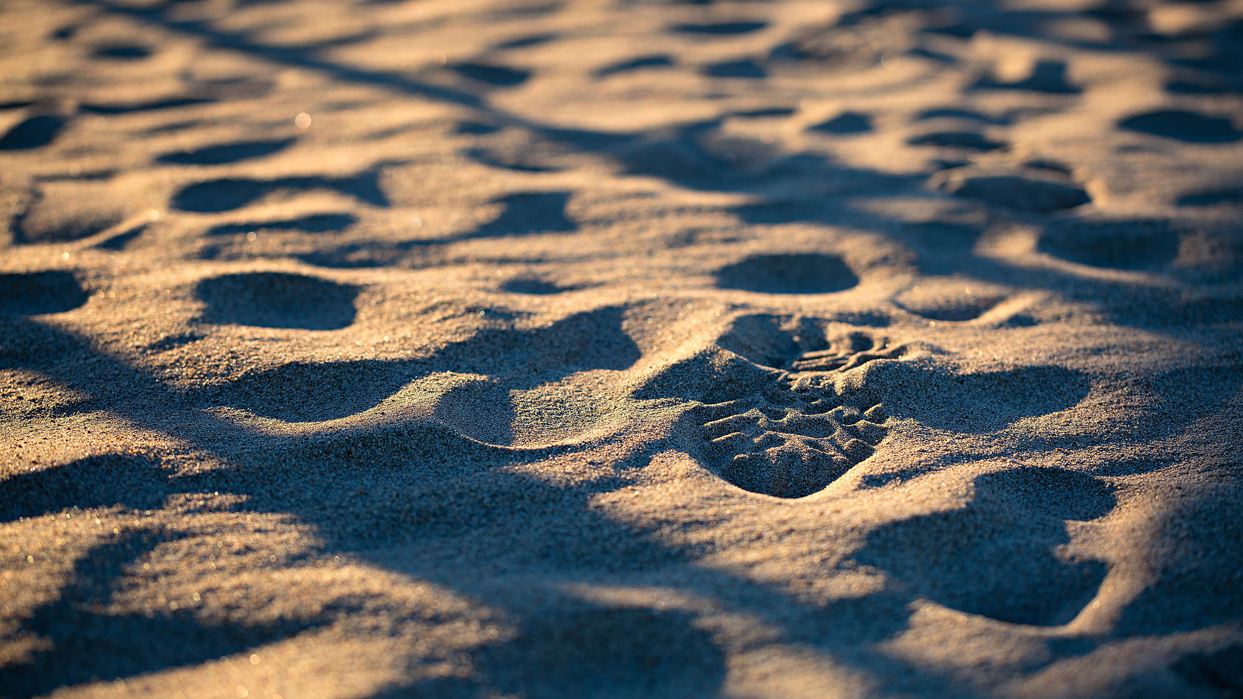 footprint, nature, hd, sand, 2K, beach, HD Wallpaper