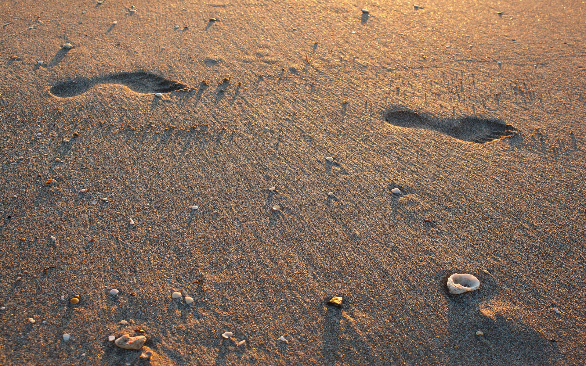 beach, hd, 1080P, footprints, nature, sand, shadow, HD Wallpaper