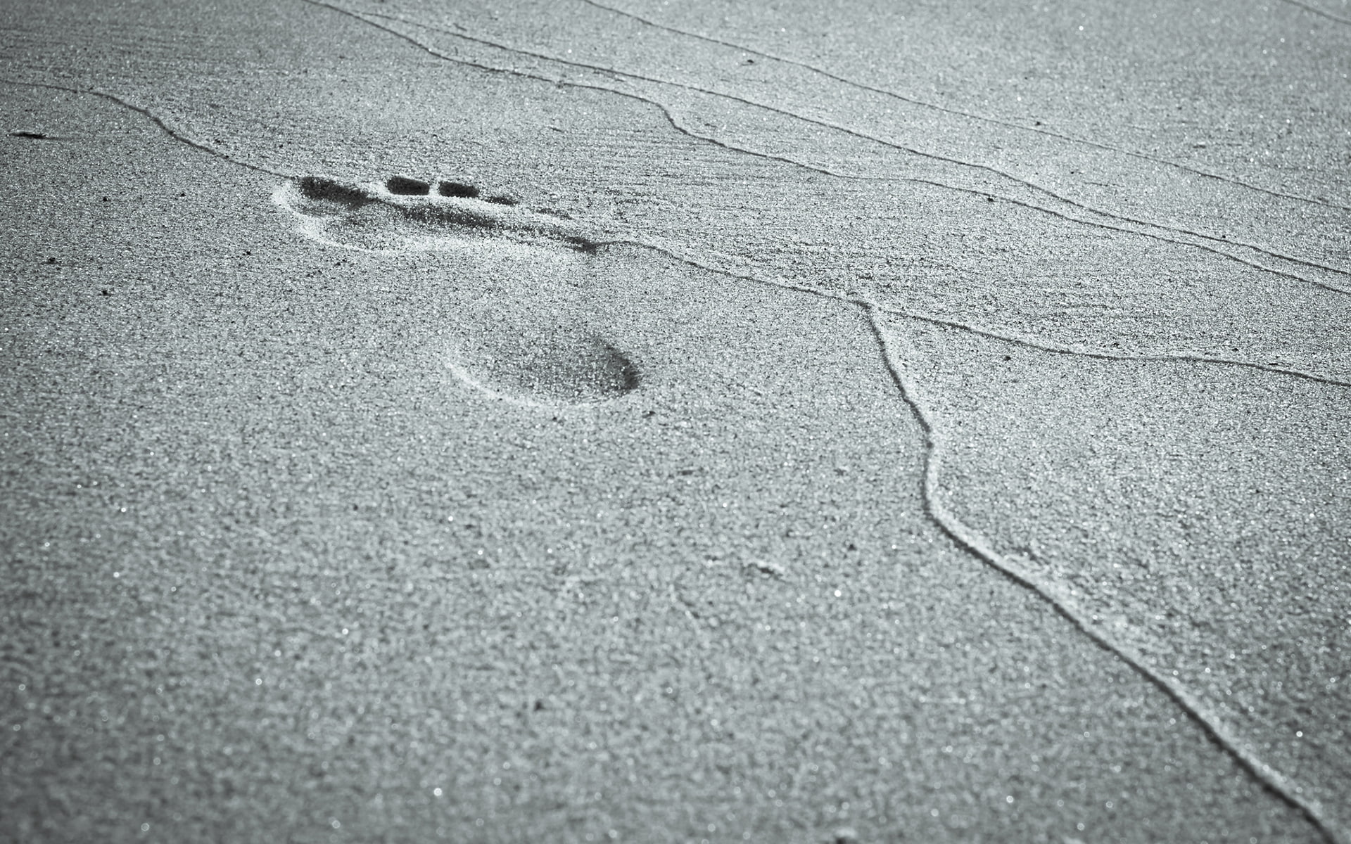 1080P, bw, hd, footprint, beach, nature, sand, HD Wallpaper